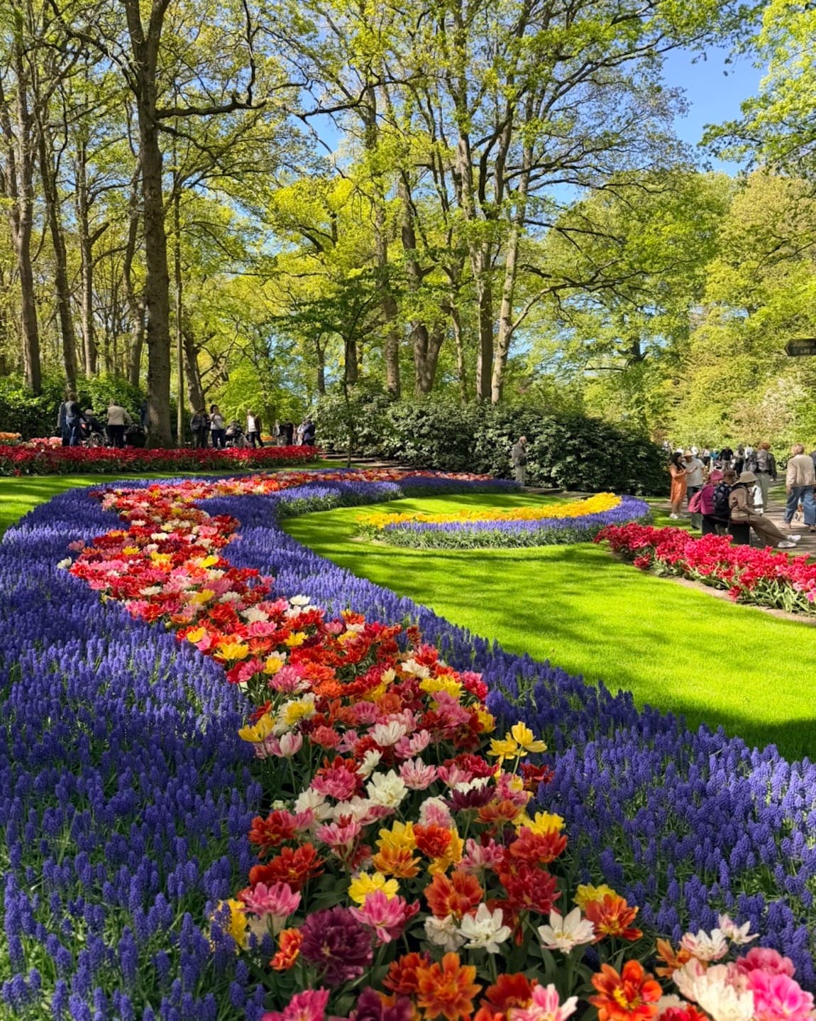 Tulip Season Cruise: The Netherlands & Belgium on Windstar Cruises curated by Noura Senno