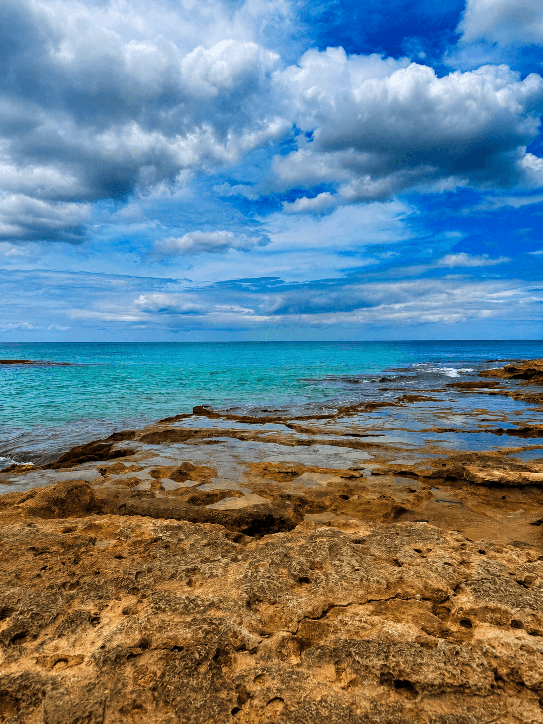 The Perfect 7-Day Oʻahu Itinerary: Waikīkī, Aulani & the North Shore curated by Hope Salyer