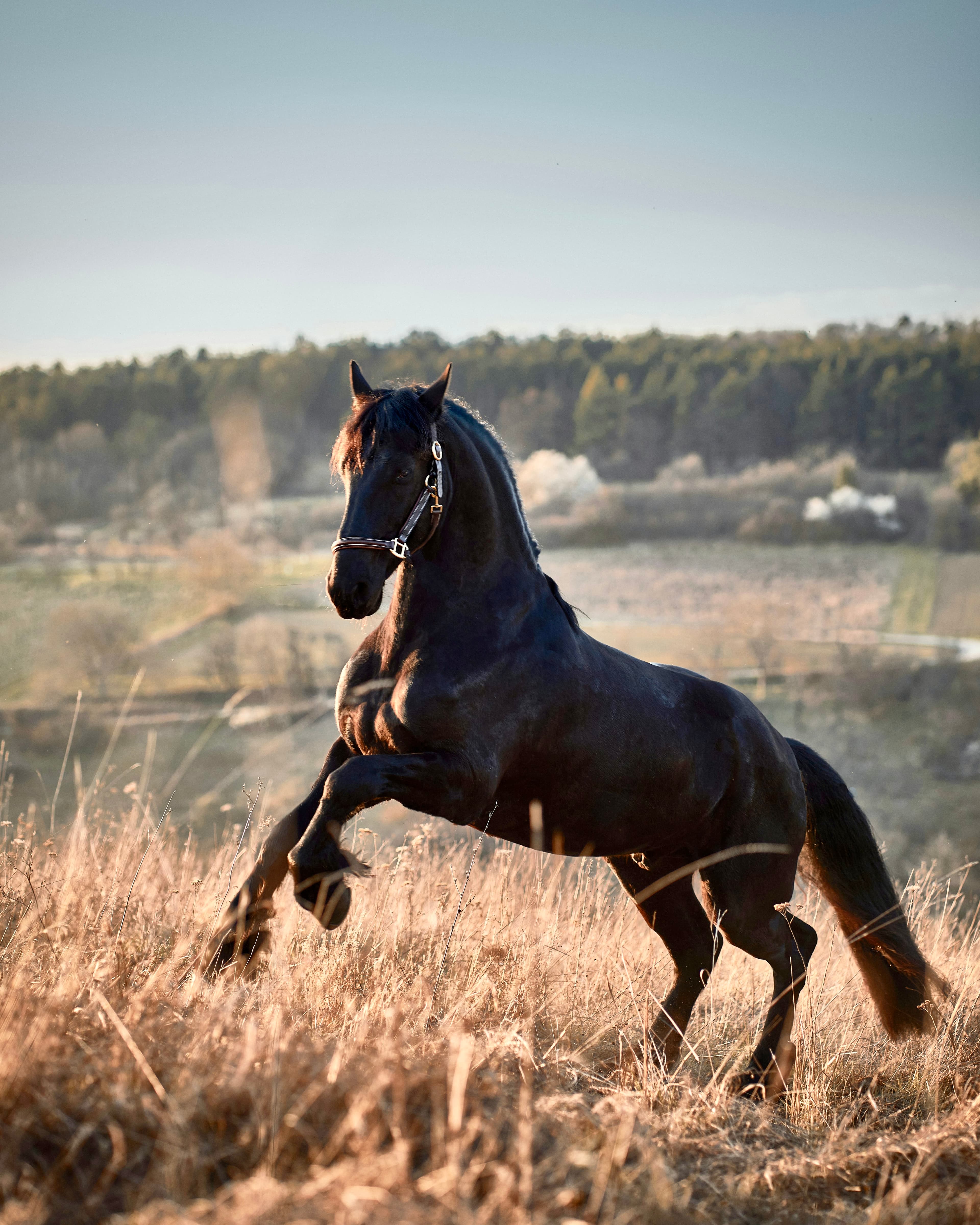 Saddle & Sea: An Equestrian Luxury Escape in Portugal curated by Jim Tooley