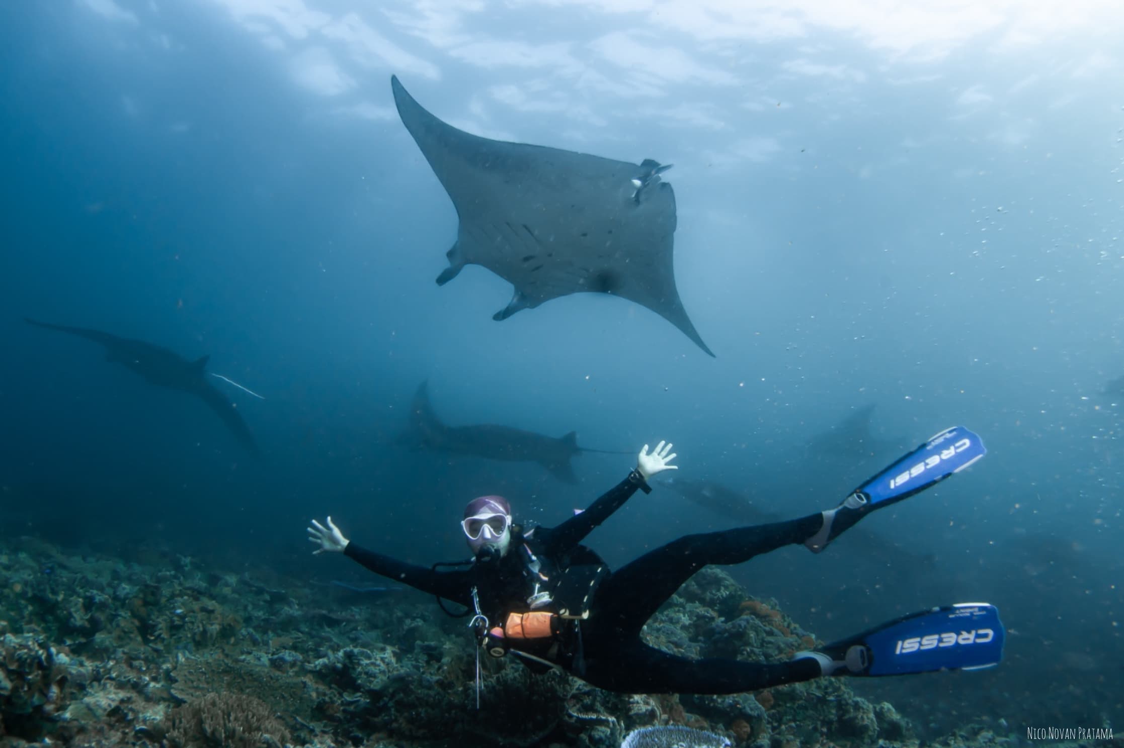 World-Class Reef: Komodo National Park curated by Angger Asetiti