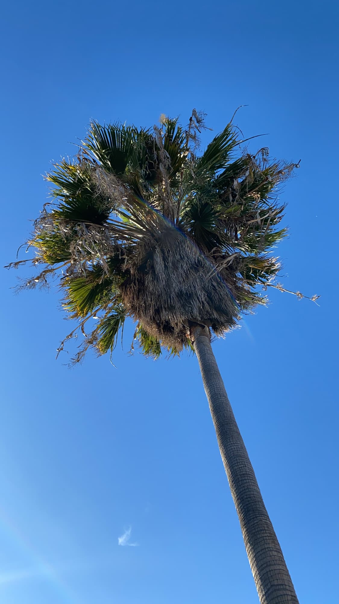 A Weekend in L.A. curated by Cole Anderson
