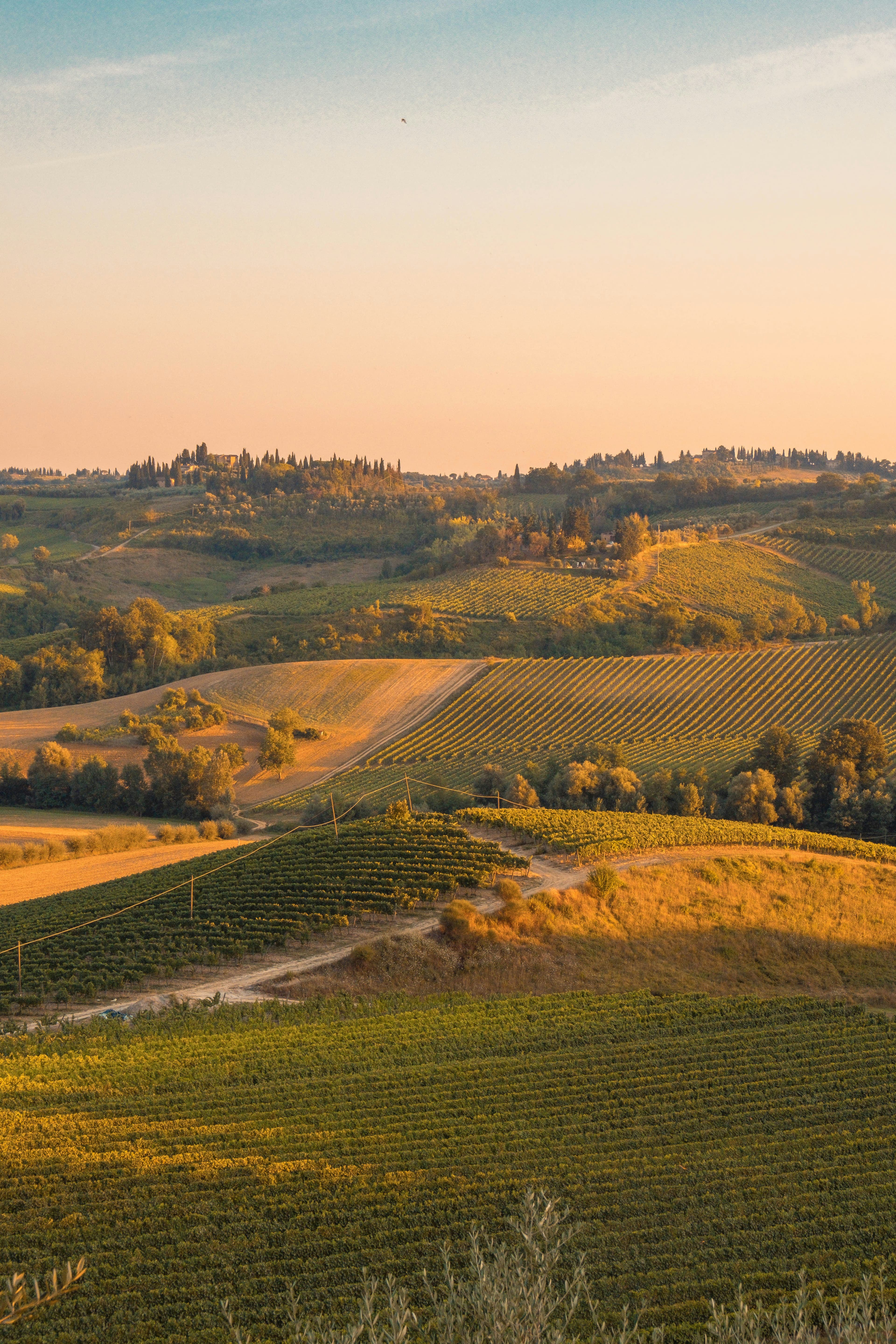 10 Days in Florence & Tuscany: Art, Wine & La Dolce Vita curated by Allyson Bauer