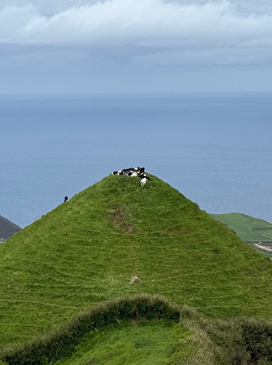 Exploring the Azores with National Geographic-Lindblad Expeditions curated by Regan Kirk