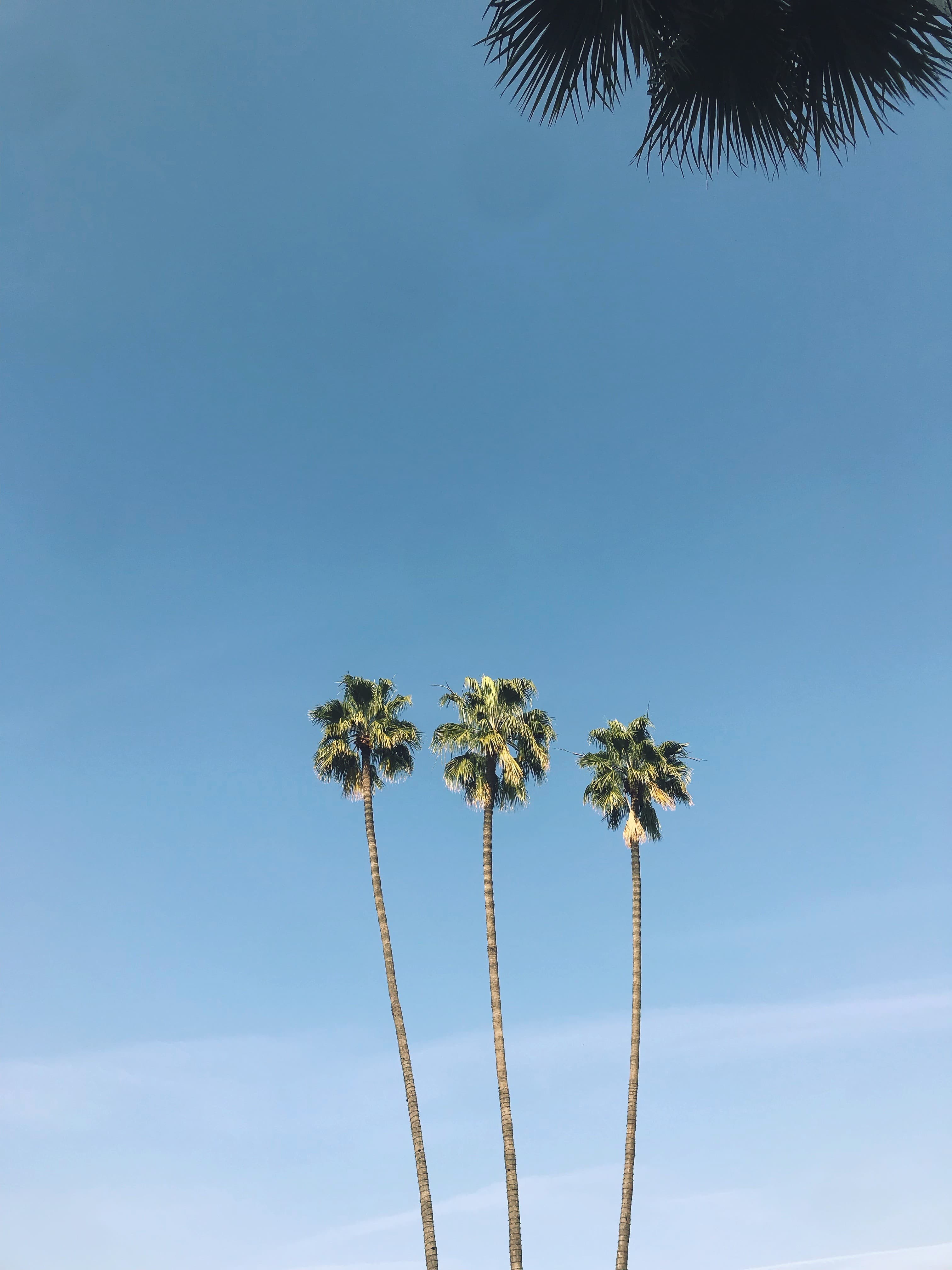 Travel photo 1