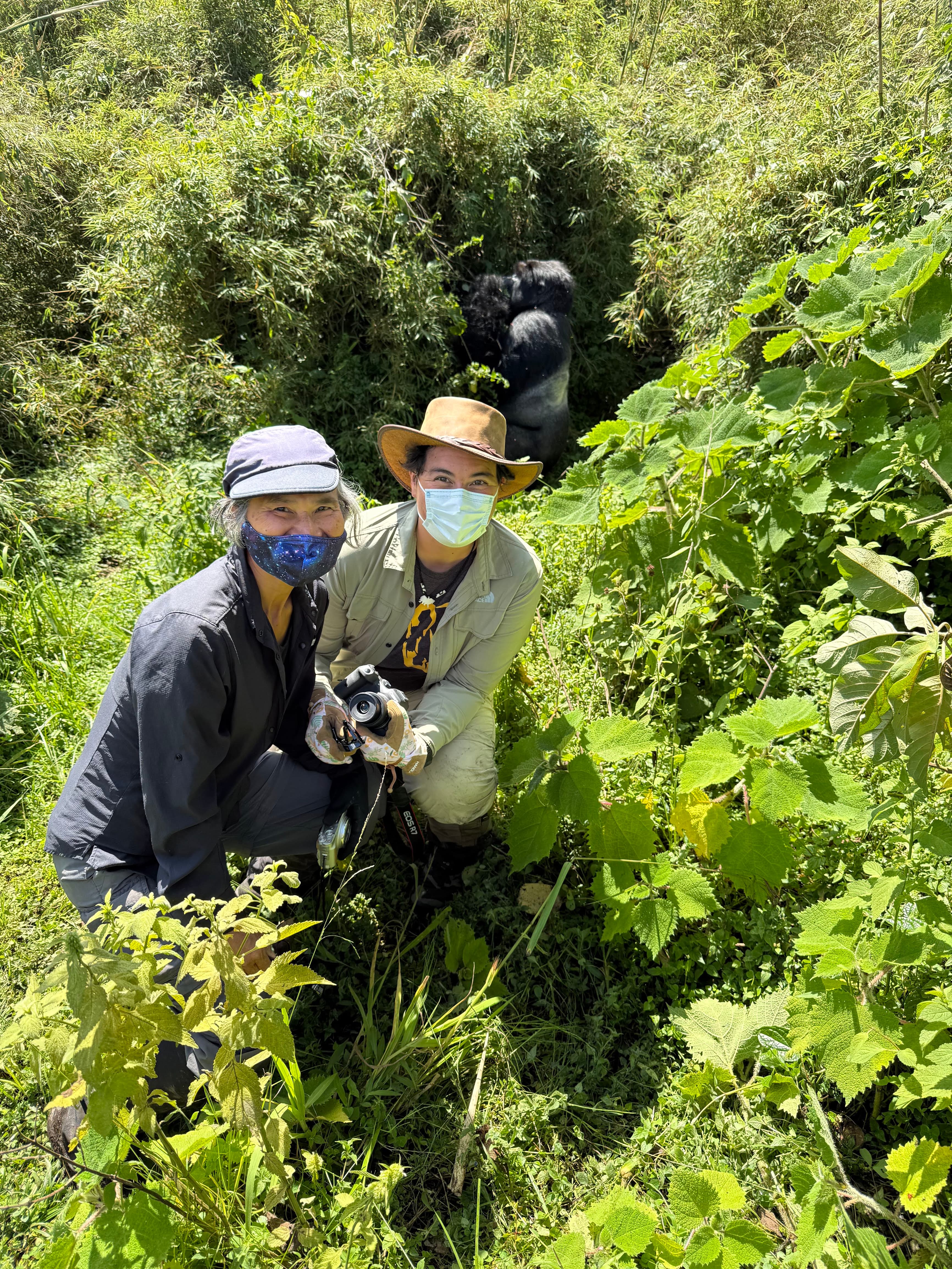 Gorillas and Hikers in the Mist: 4 Days of Gorilla Trekking in Rwanda and Uganda curated by Regan Kirk