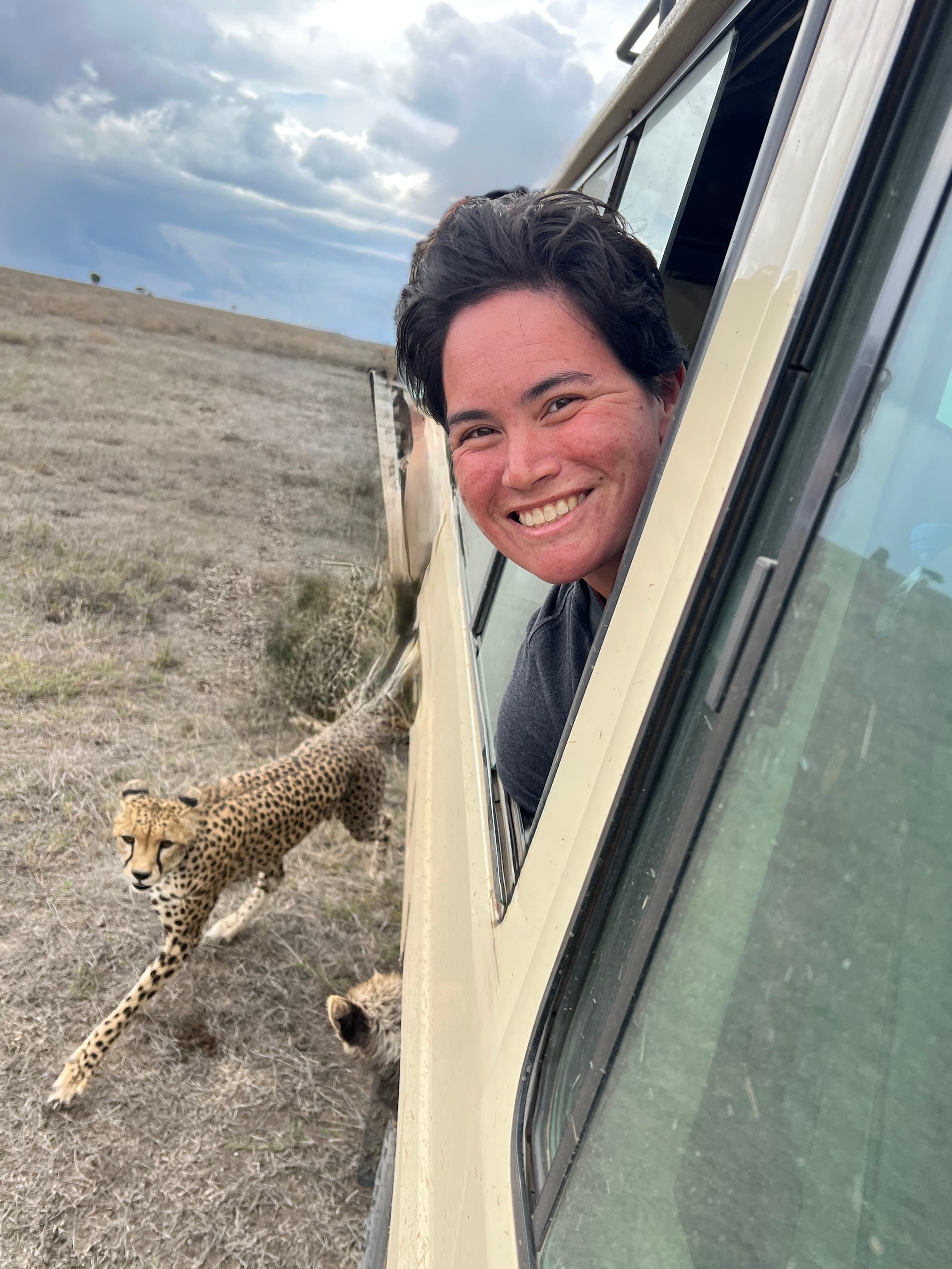 A Week in Tanzania with the Big Five & Hundreds of Big Cats curated by Regan Kirk