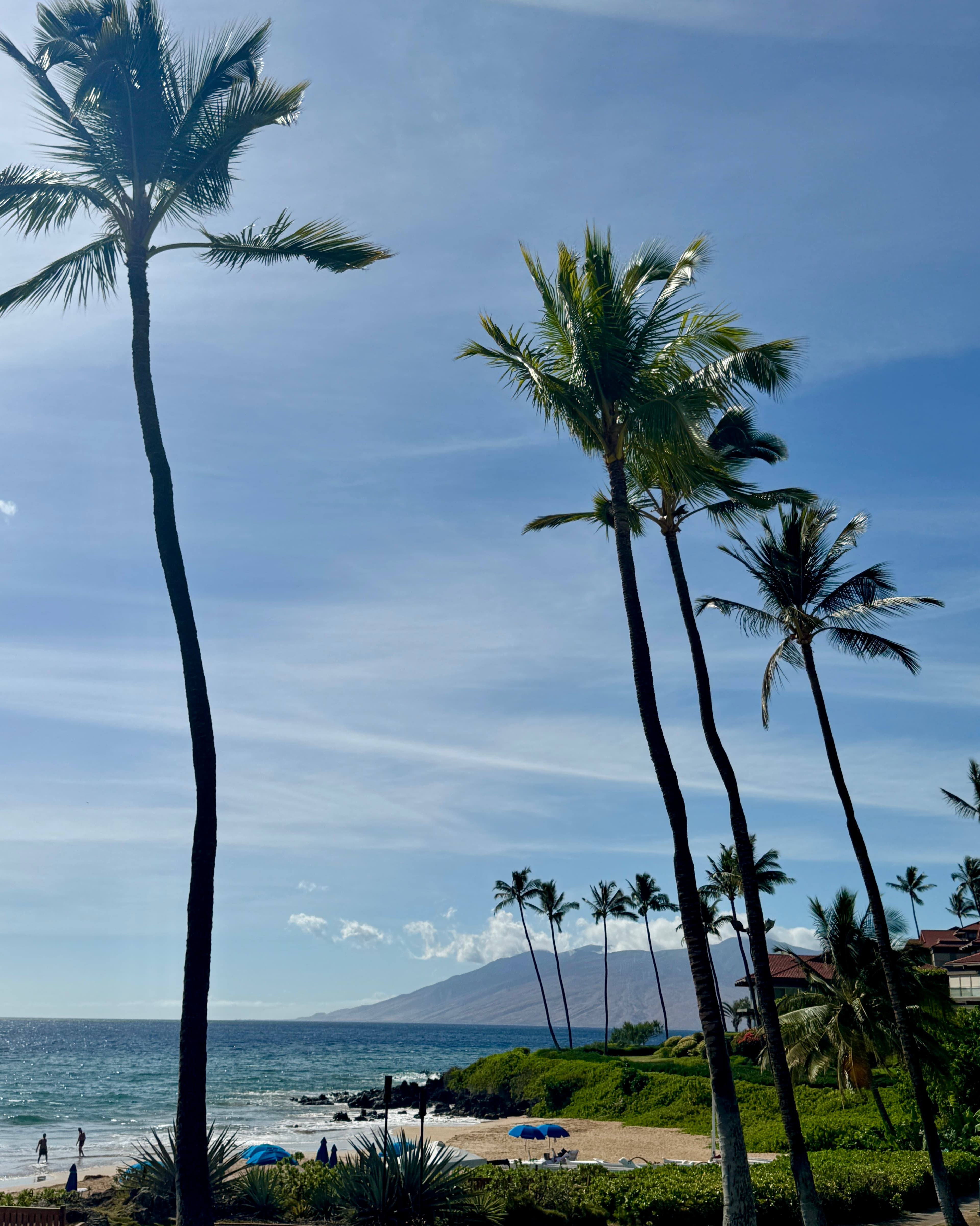 A Summer Vacation in Maui with Kids: An 8-Day Itinerary curated by Monica Hoss