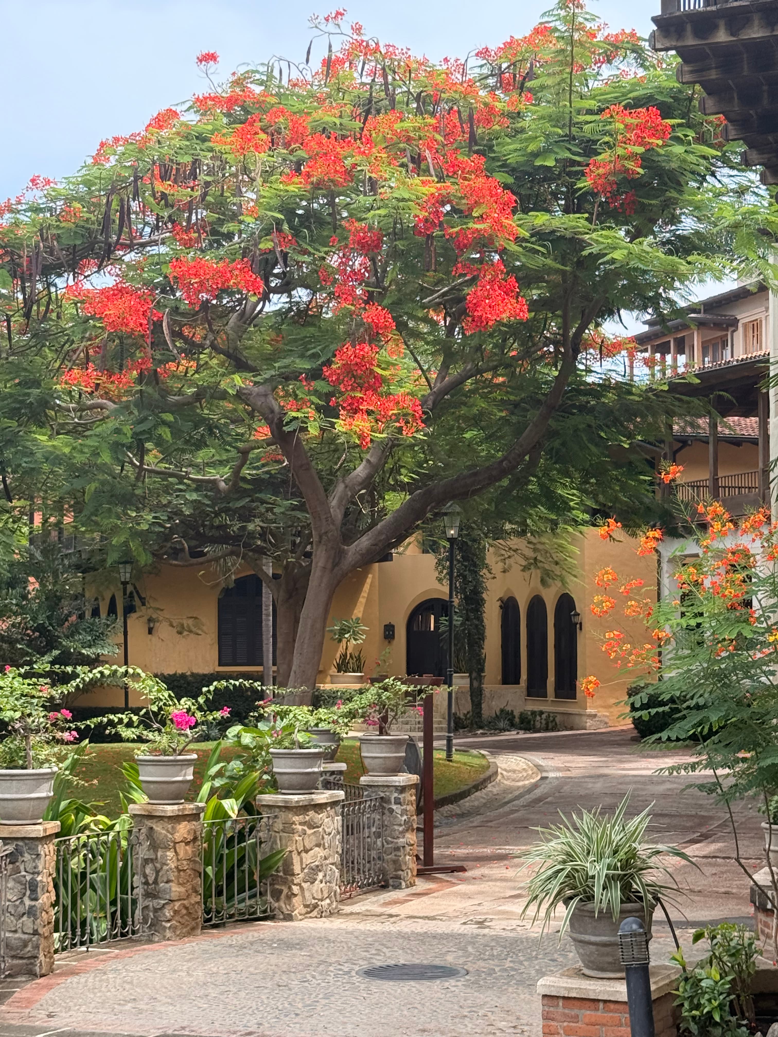 The Best Vacation You’ve Never Heard Of: Costa Rica’s All-in-One Beach Escape curated by Elisse Tweet
