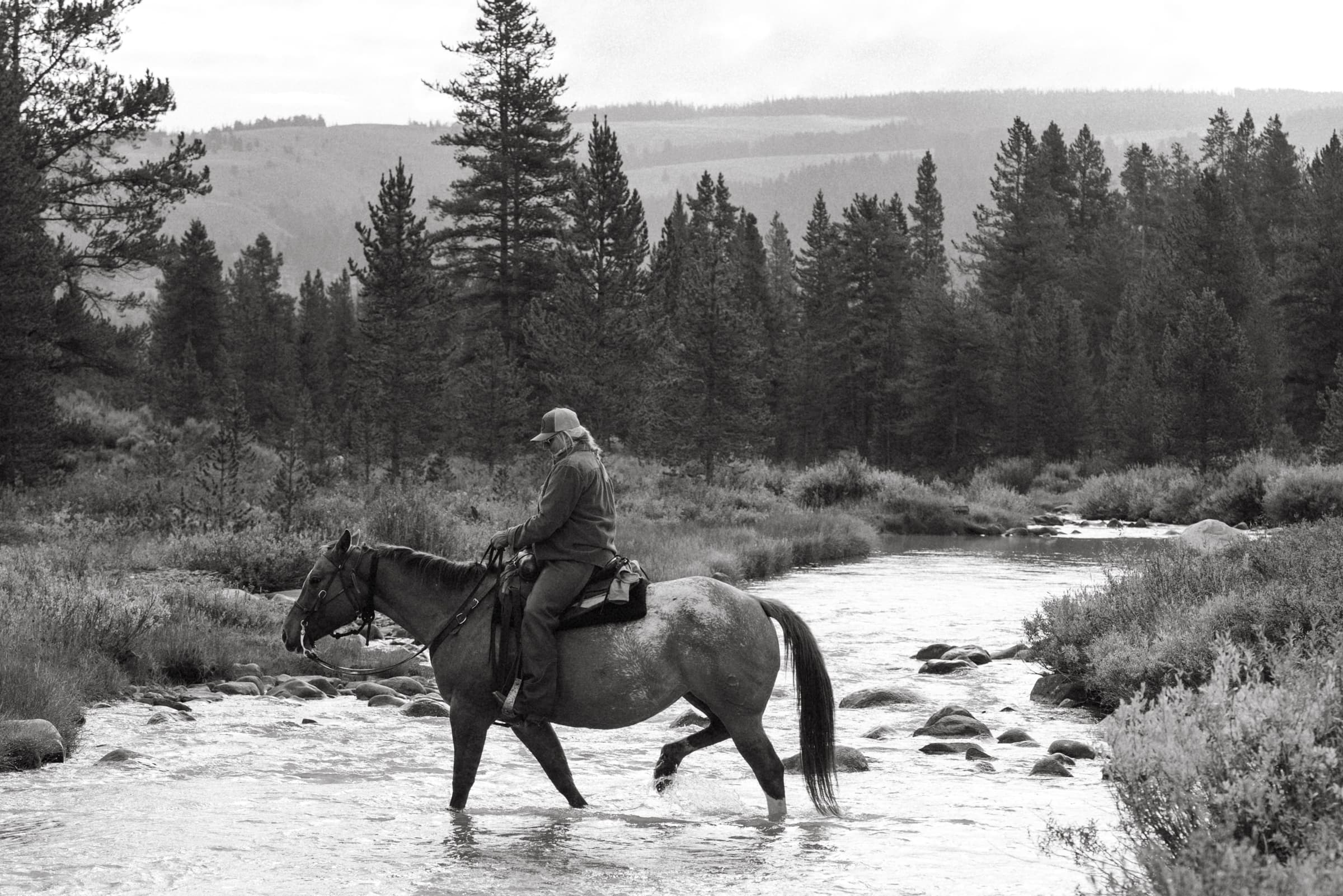 Montana Dude Ranches for Any Budget curated by Sheryl Wright