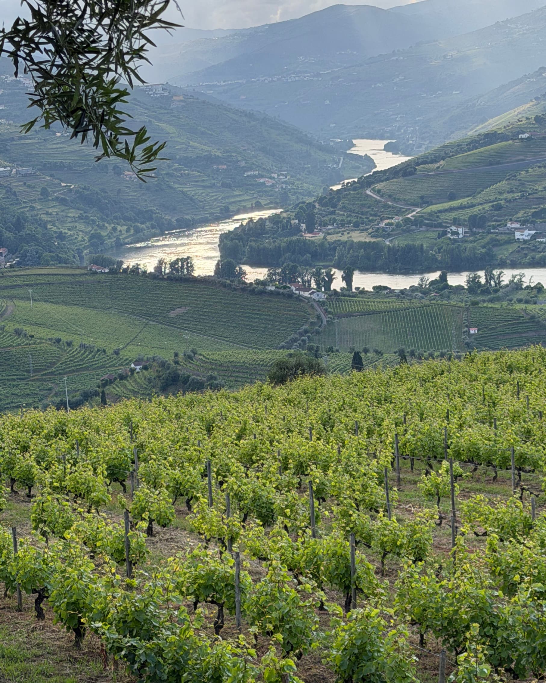 3 Perfect Days in Porto & Portugal’s Douro Wine Region curated by Benjamin Bourgeois