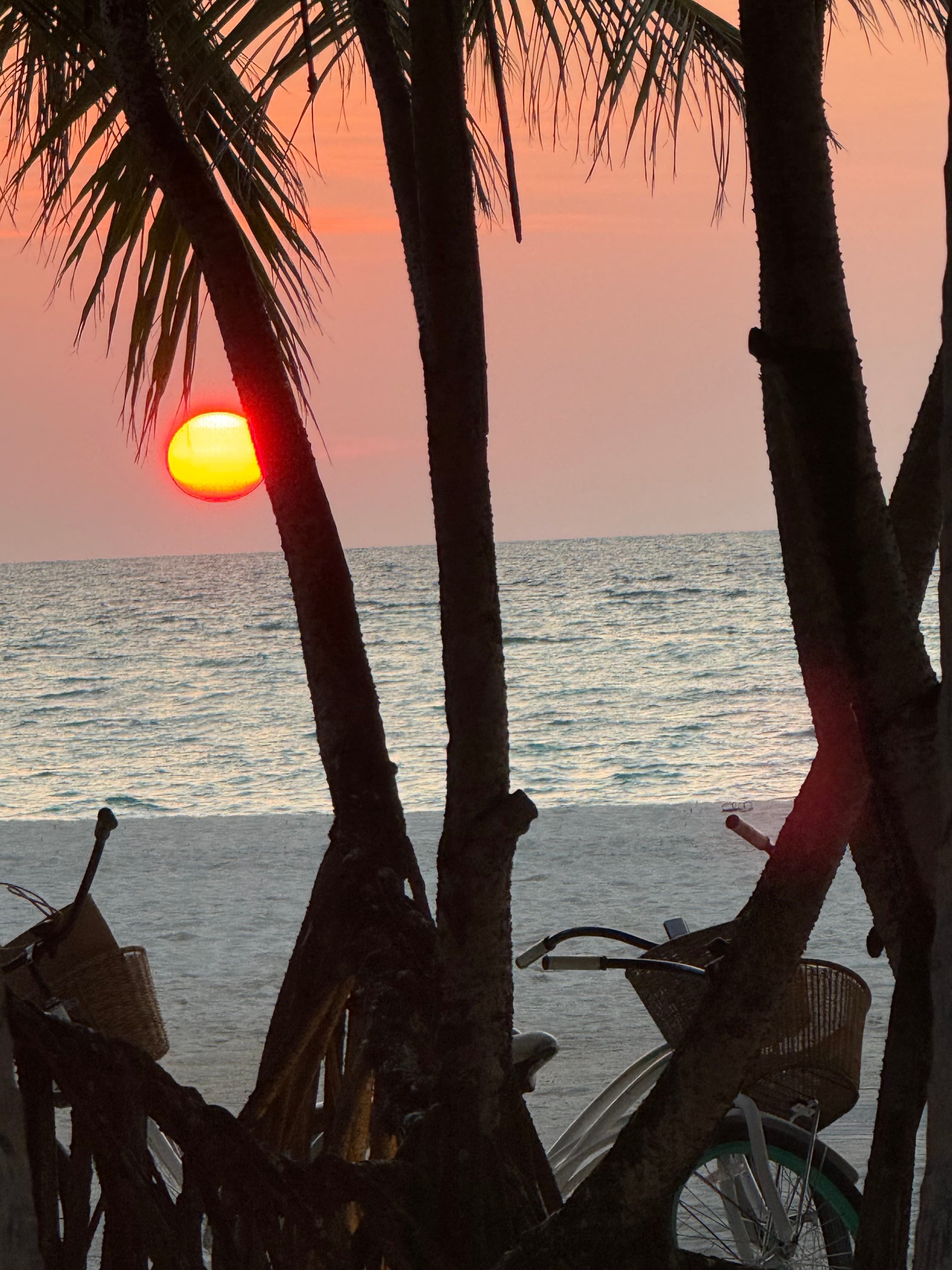 Maldives: Two COMOs, One Long Exhale curated by Nohl Martin