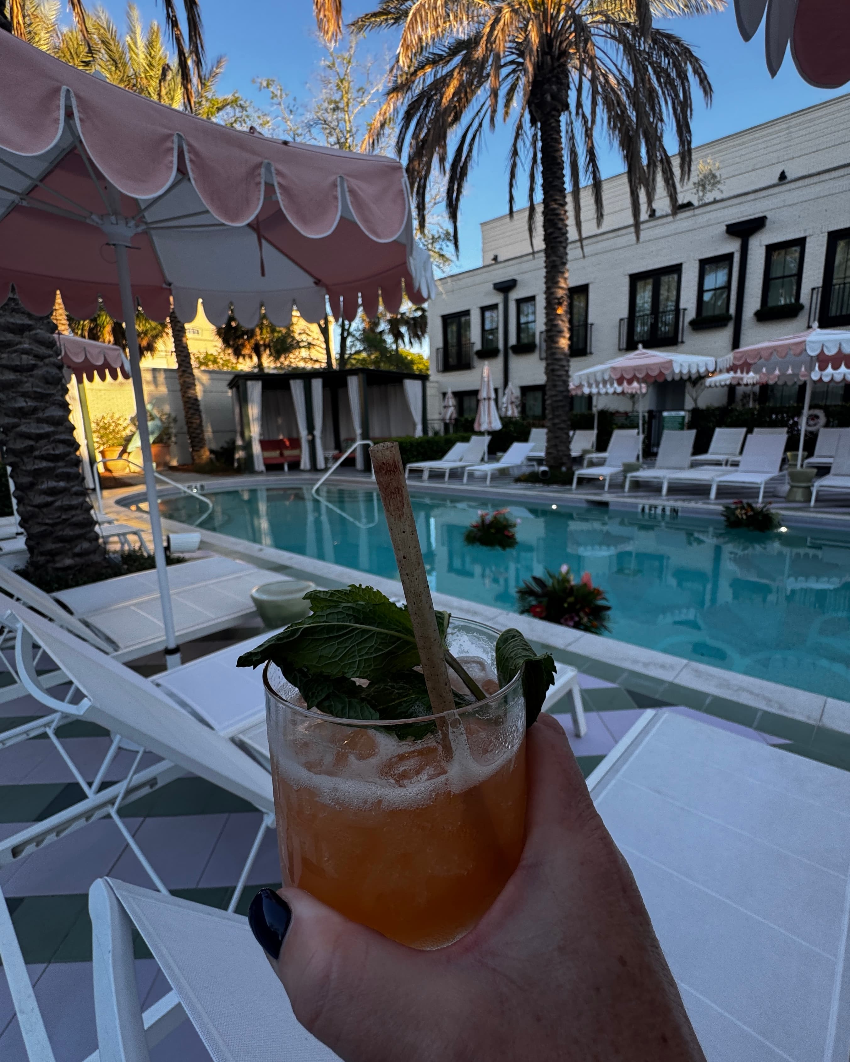 The Insider's Guide to Savannah curated by Jaime Windau
