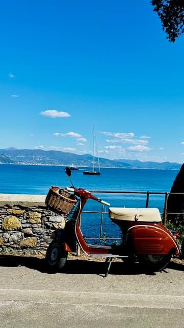 A Ligurian Love Story: Portofino, Paraggi & Santa Margherita Ligure curated by Patricia Caruso