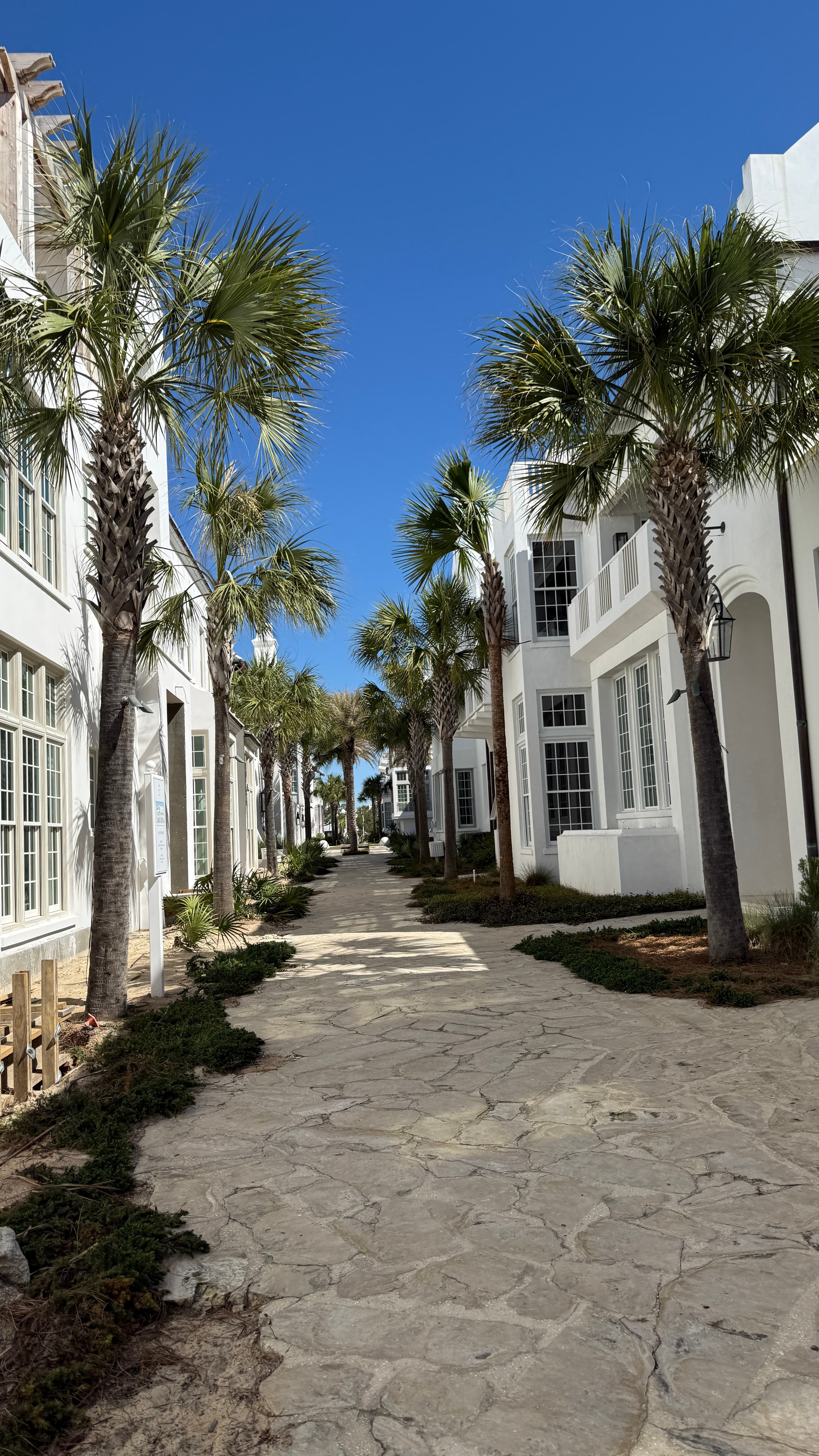 The 30A Girls' Trip Guide: Rosemary Beach to WaterColor curated by Laurie Lock