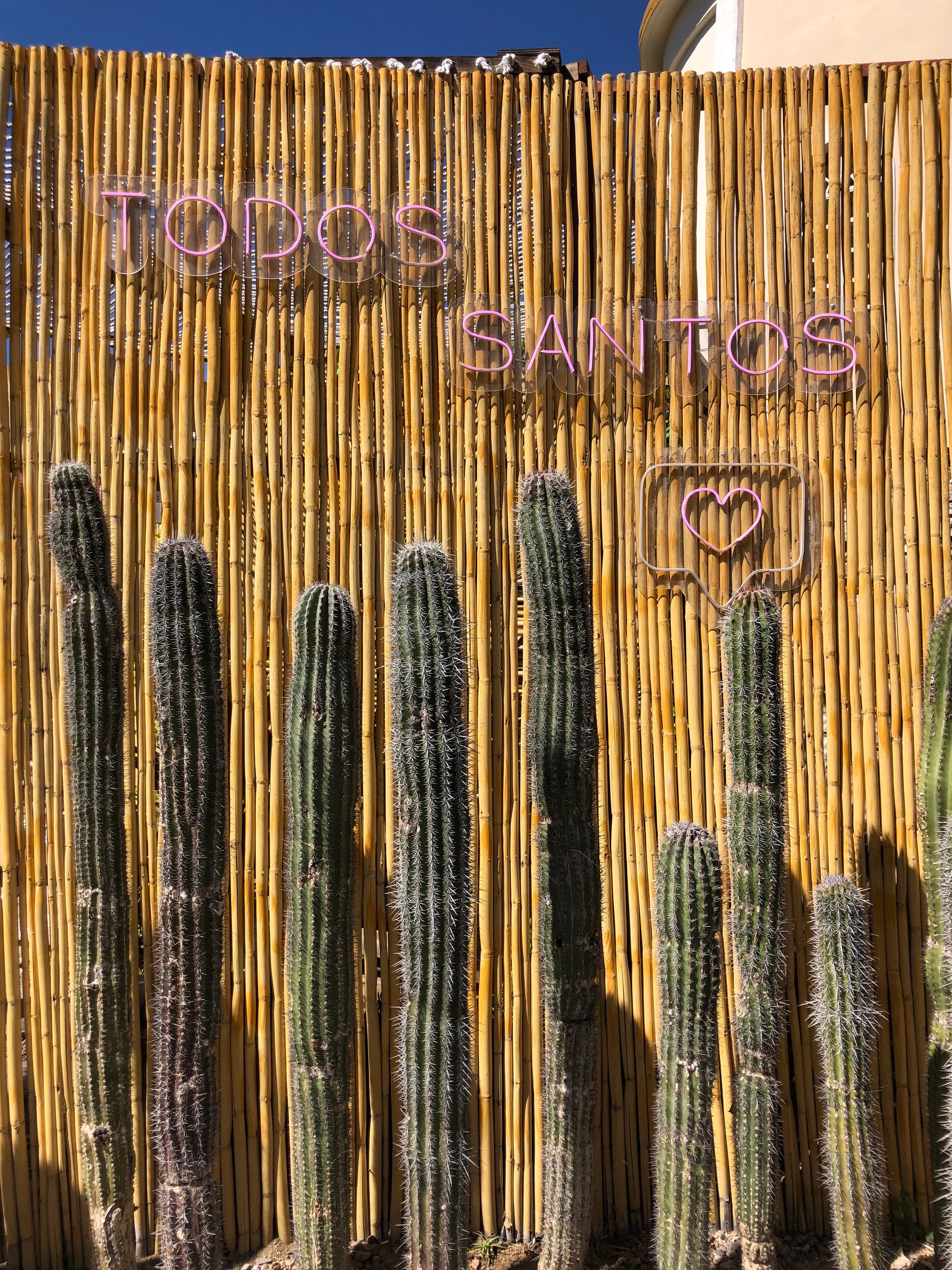 Baja Before the Big Day: A 3-Day Lowkey Bachelorette in Todos Santos, Mexico curated by Sarah Breeden