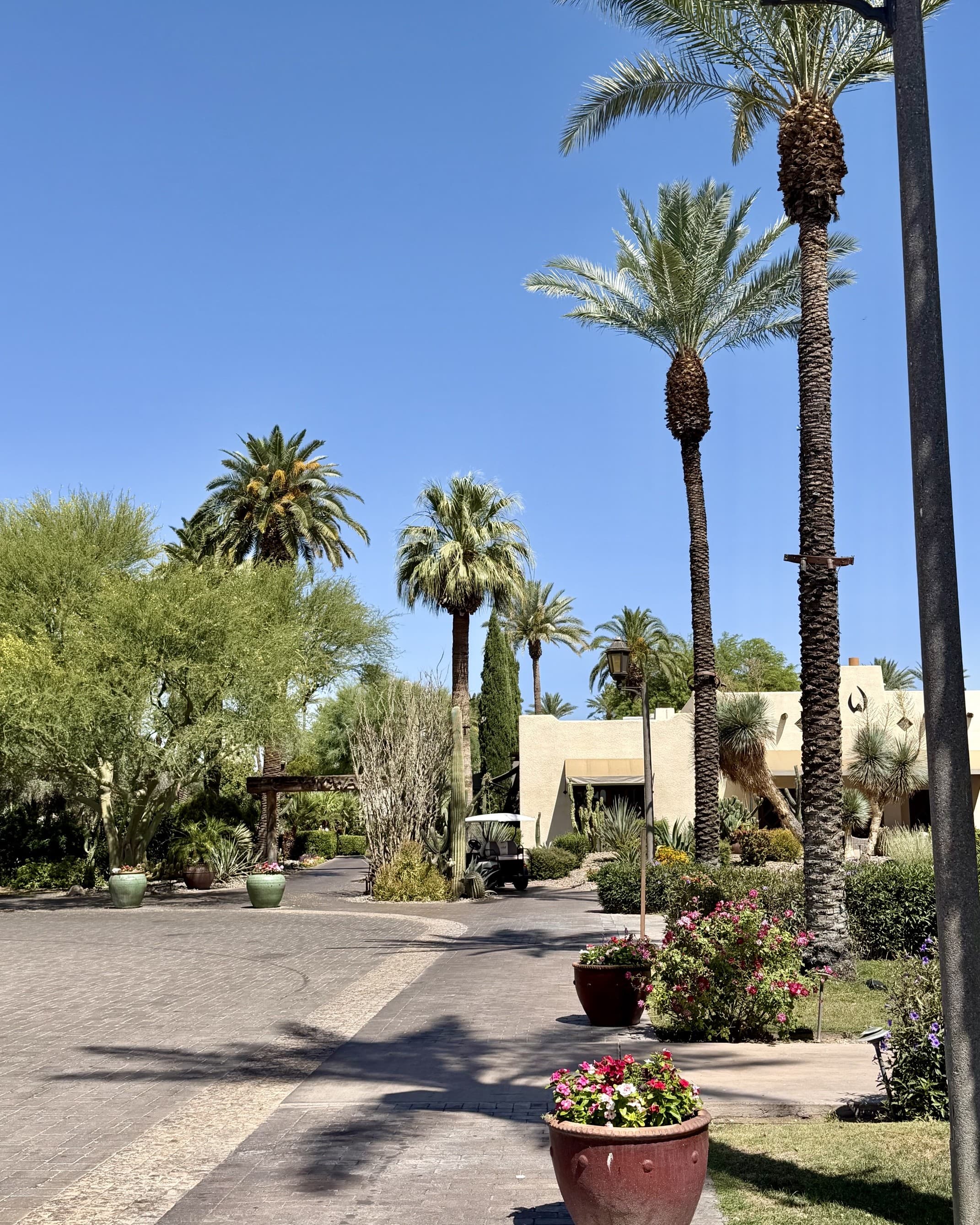 Curated Desert Luxury at The Wigwam curated by Marissa Crawford