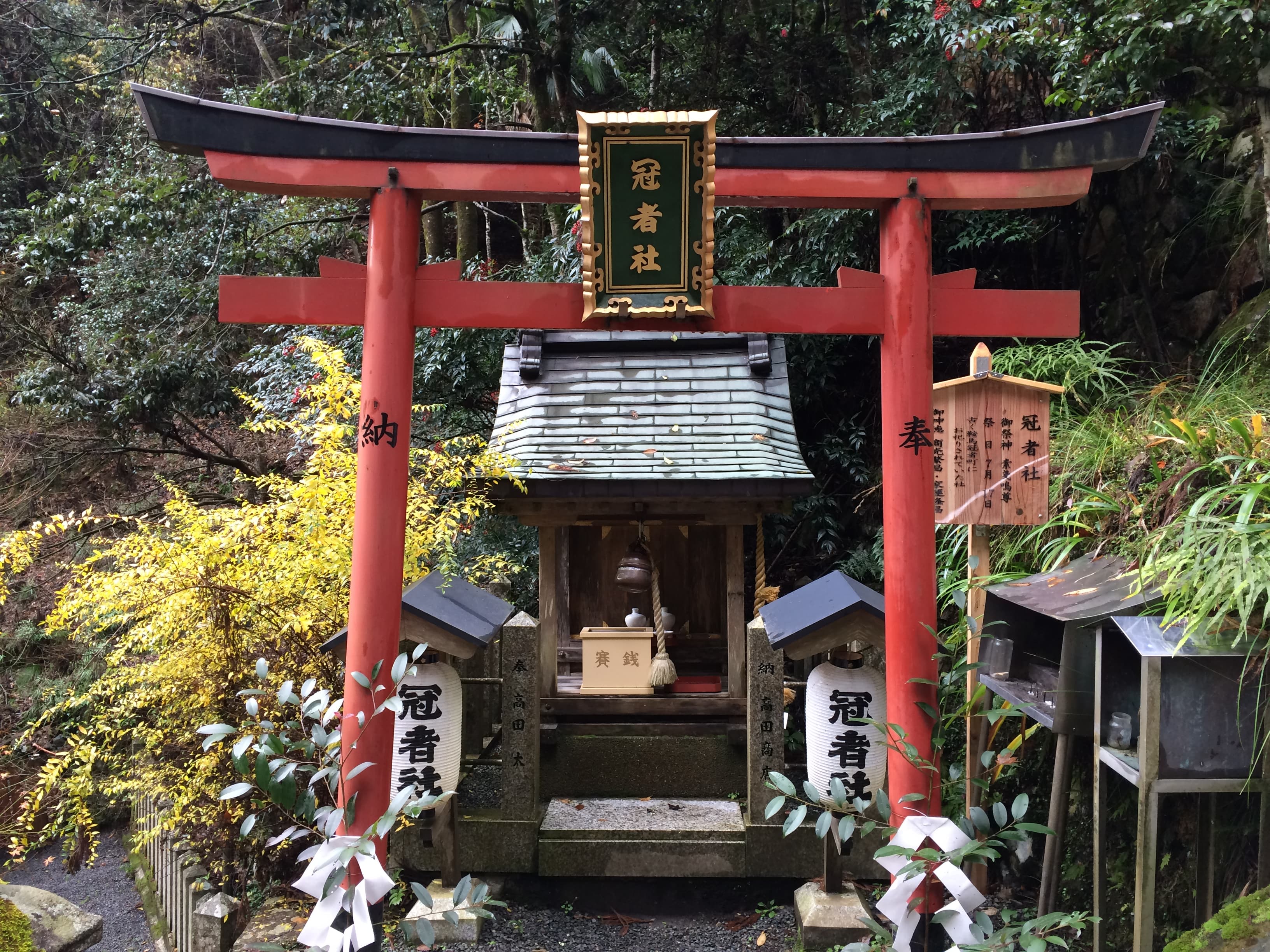 Travel photo 10