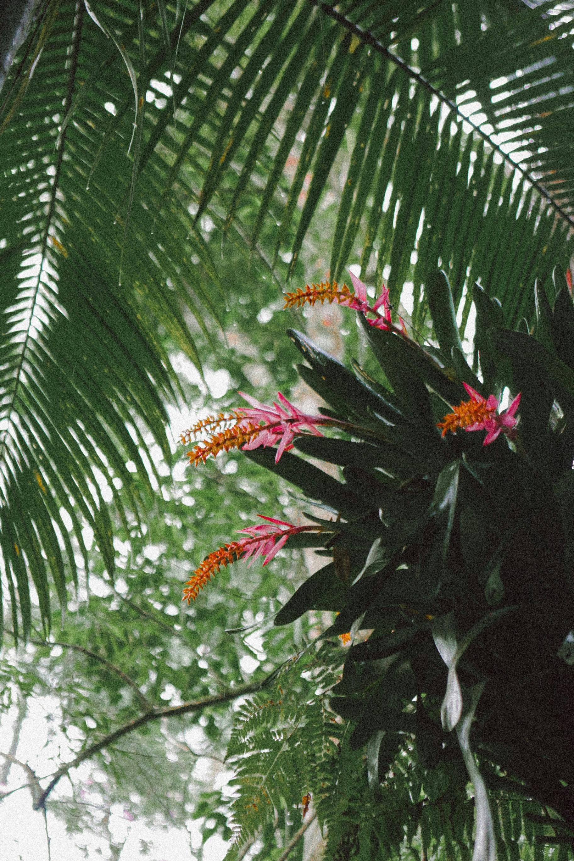 The Perfect 1-Week Honeymoon in Costa Rica curated by Claire Lipton