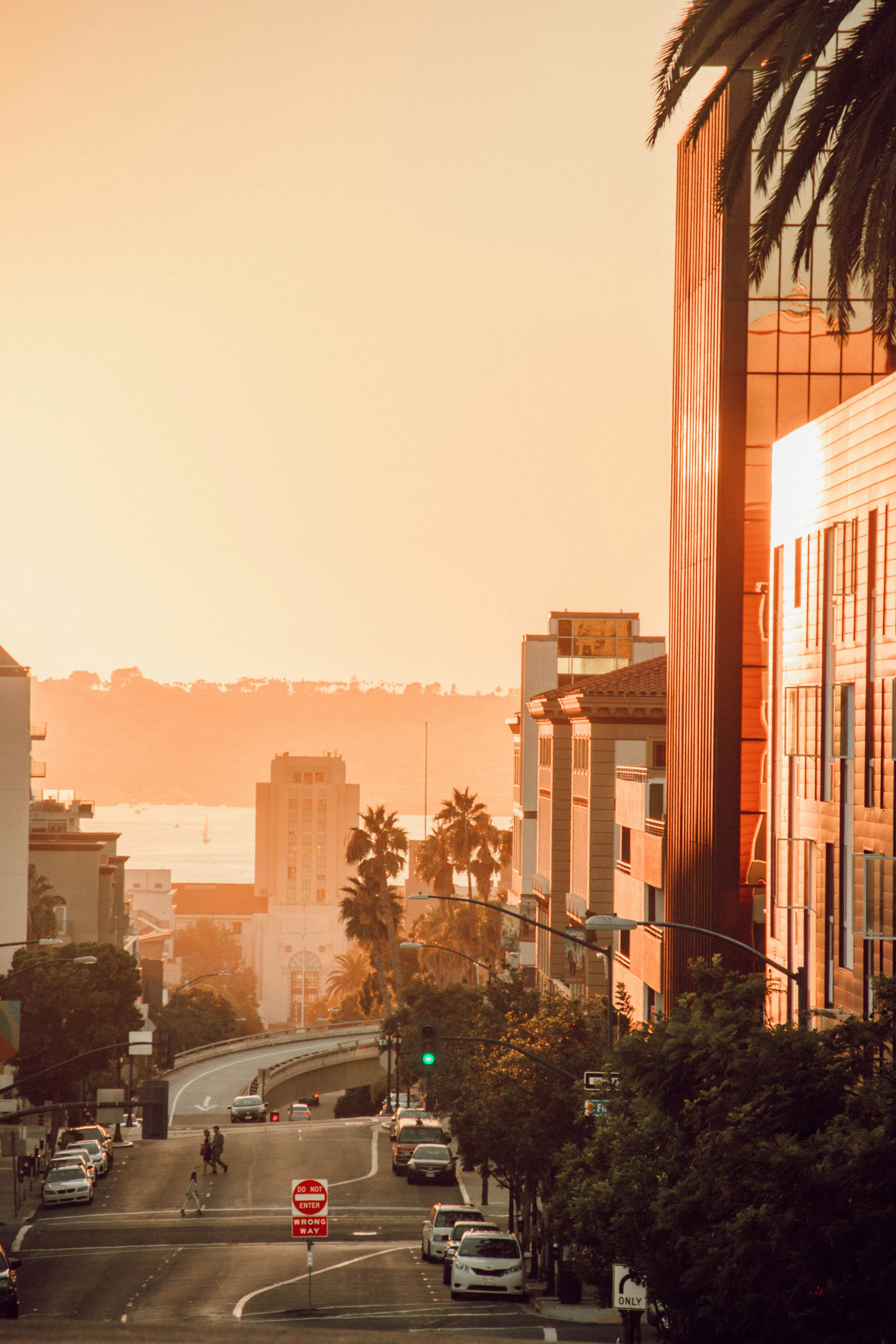 San Diego, Simplified: A 3-Day Family Itinerary curated by Sara Romeo