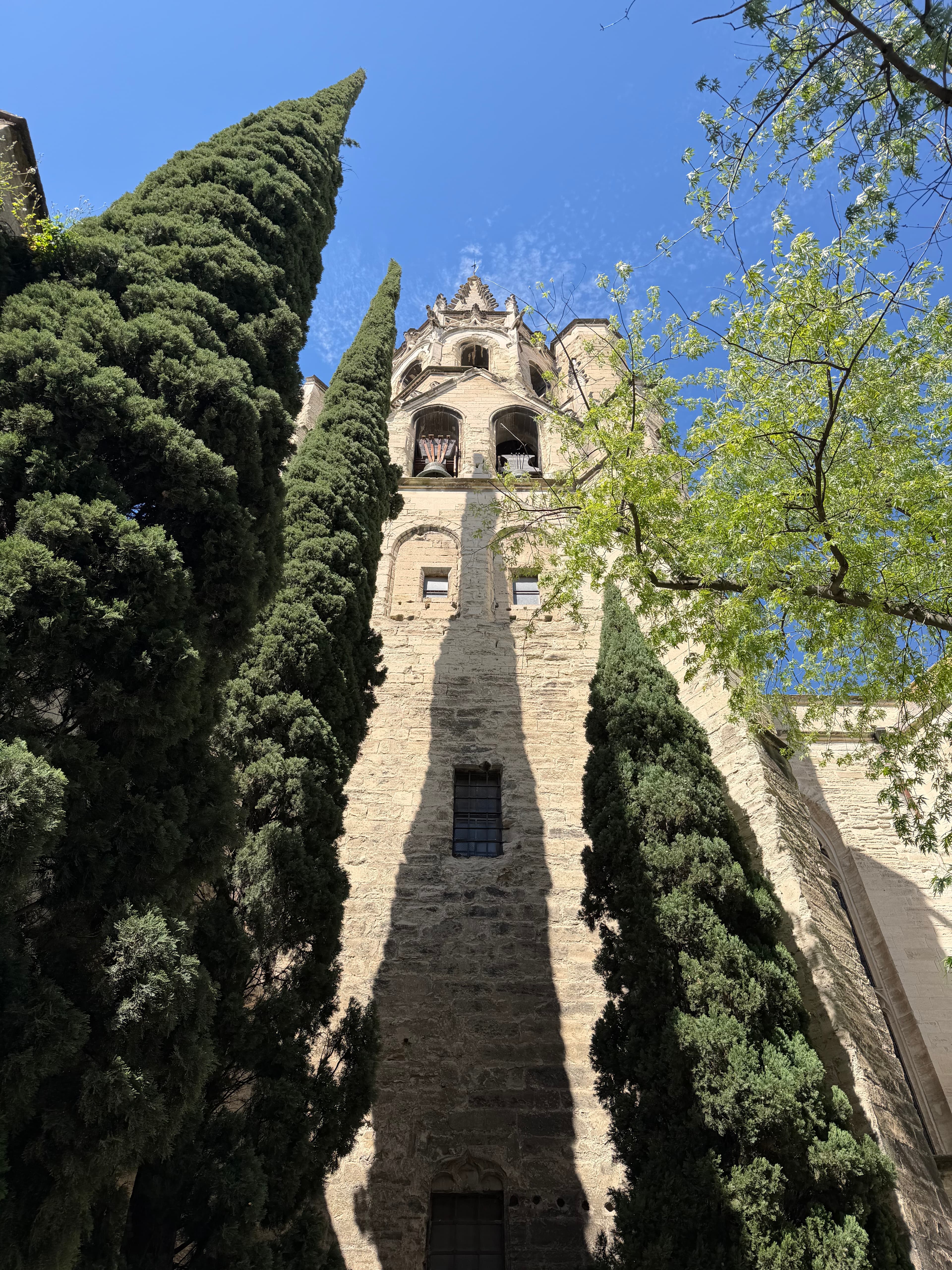 Discovering Avignon: Where to Stay, Eat & Explore Before a Rhône River Cruise curated by Abby Rieb