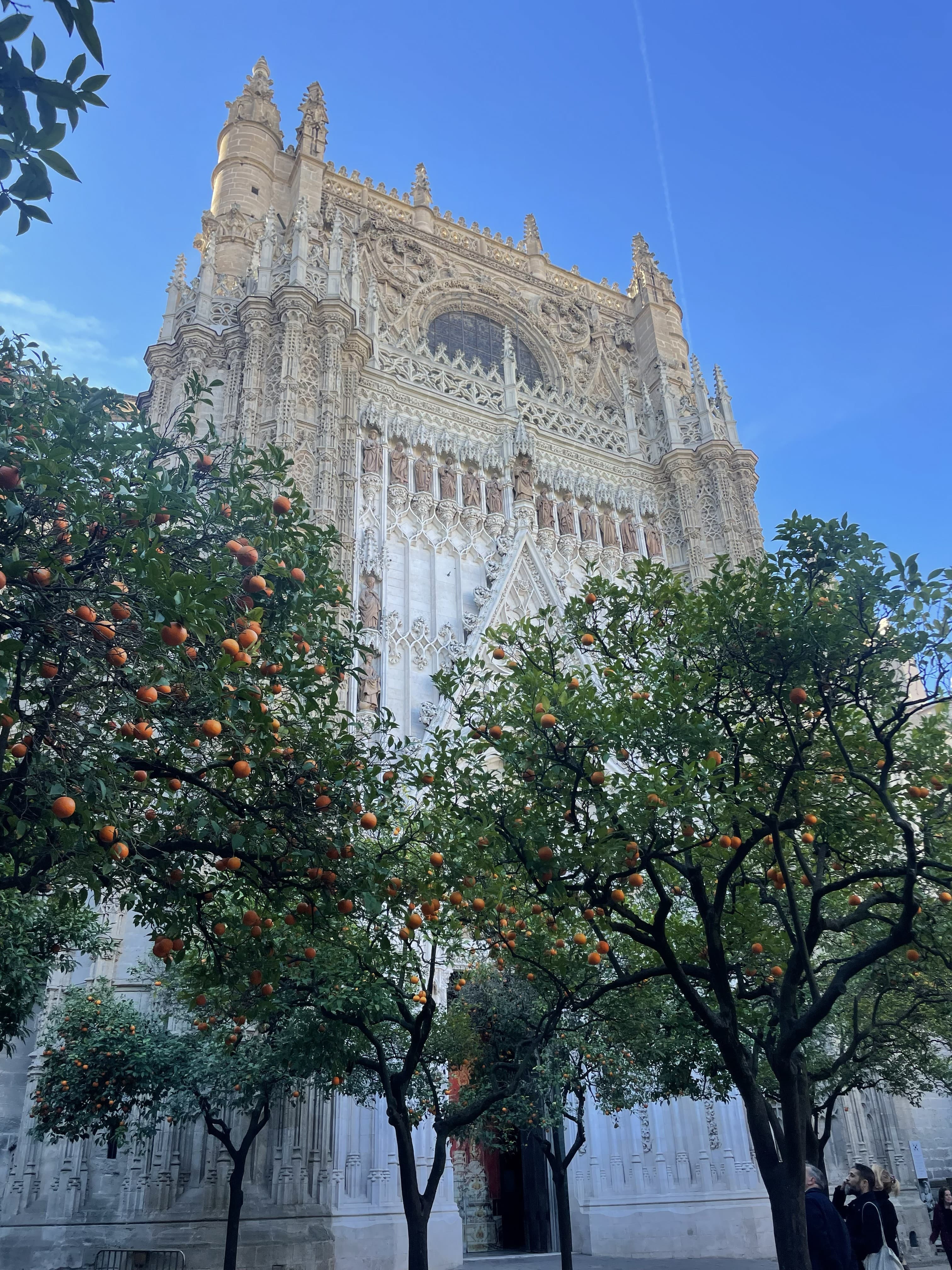 Travel photo 3