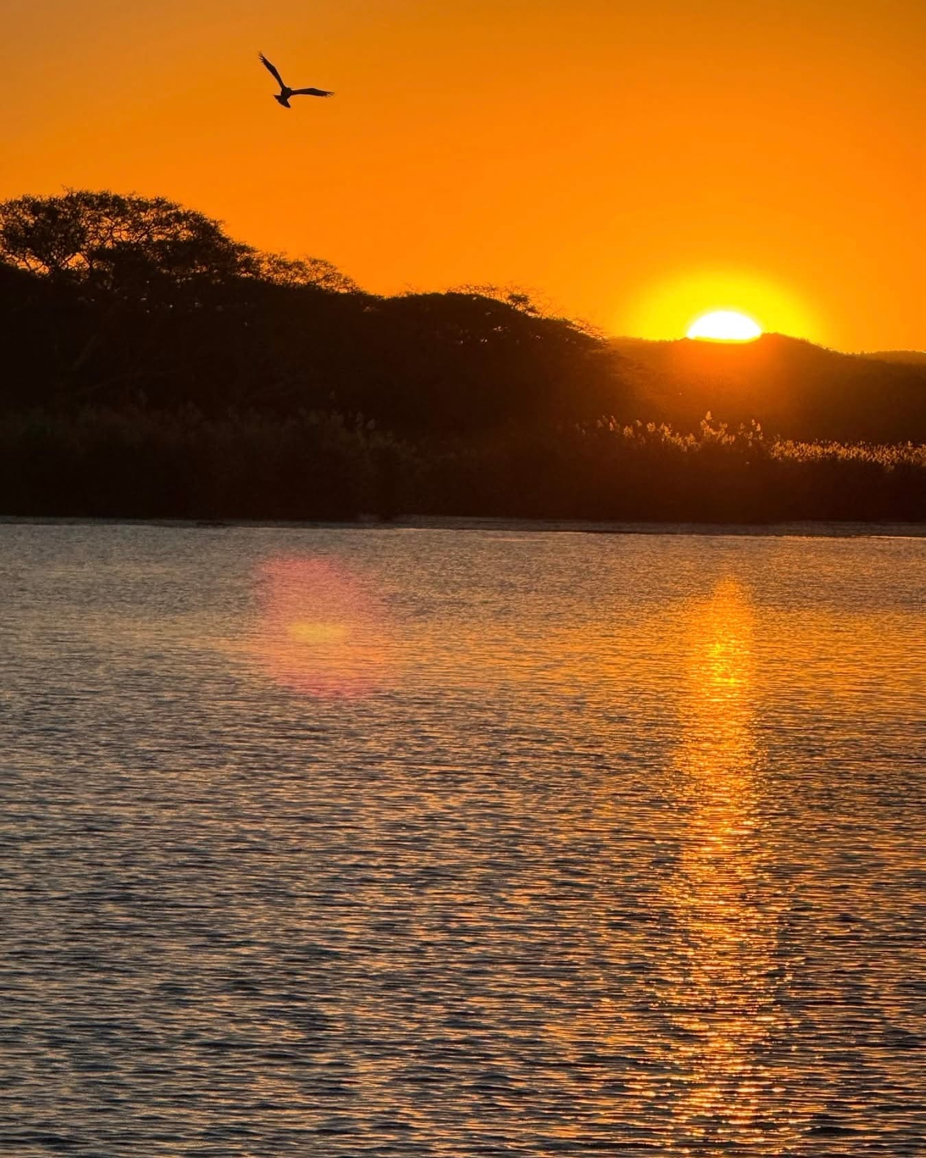 My Ultimate African Journey: 20 Days, Overland Safaris & A Cruise curated by Christina Ortalano