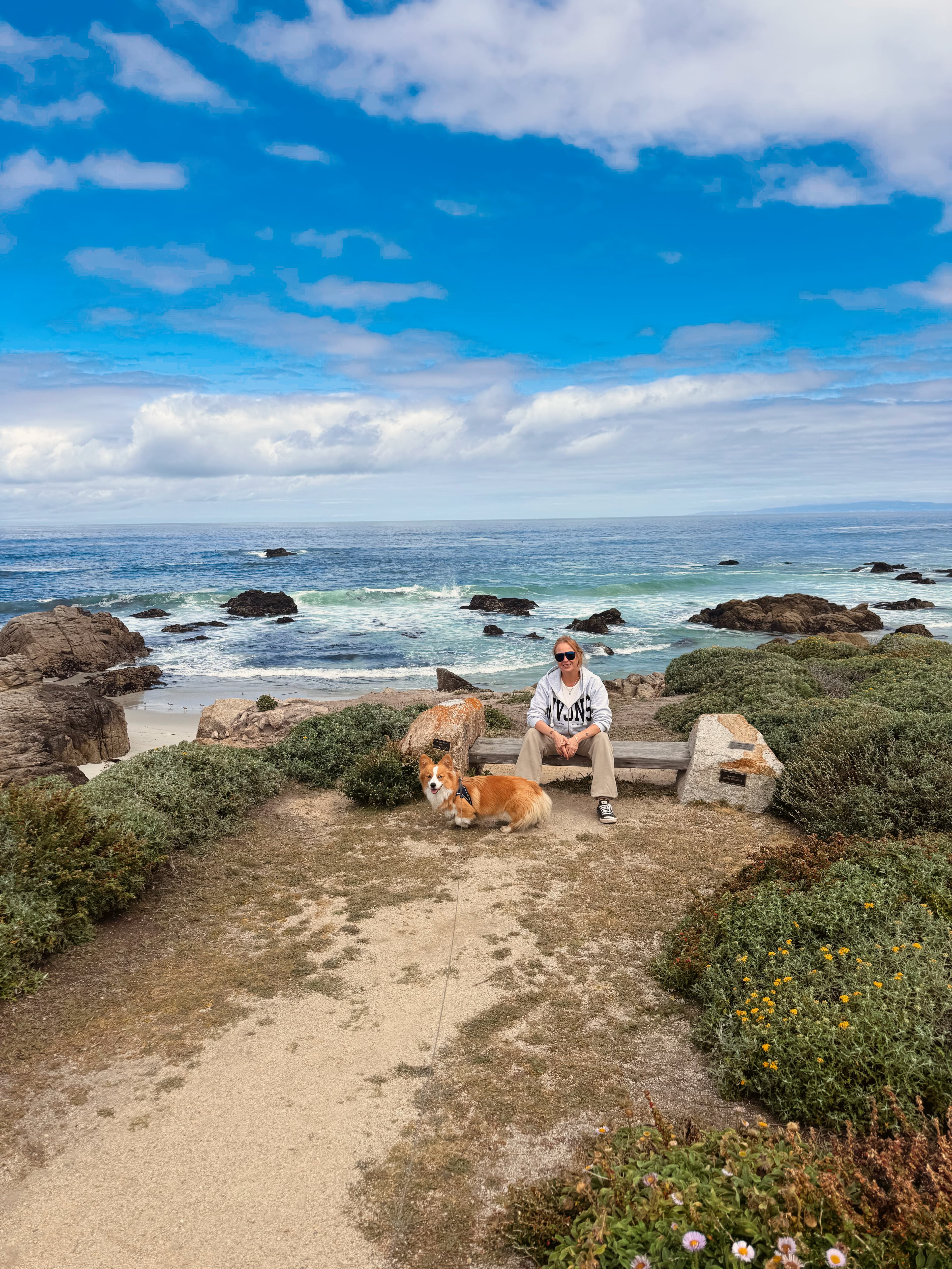 From Napa Valley to Bodega Bay: Wine, Coastlines & Hollywood History curated by Patrycia Canatan