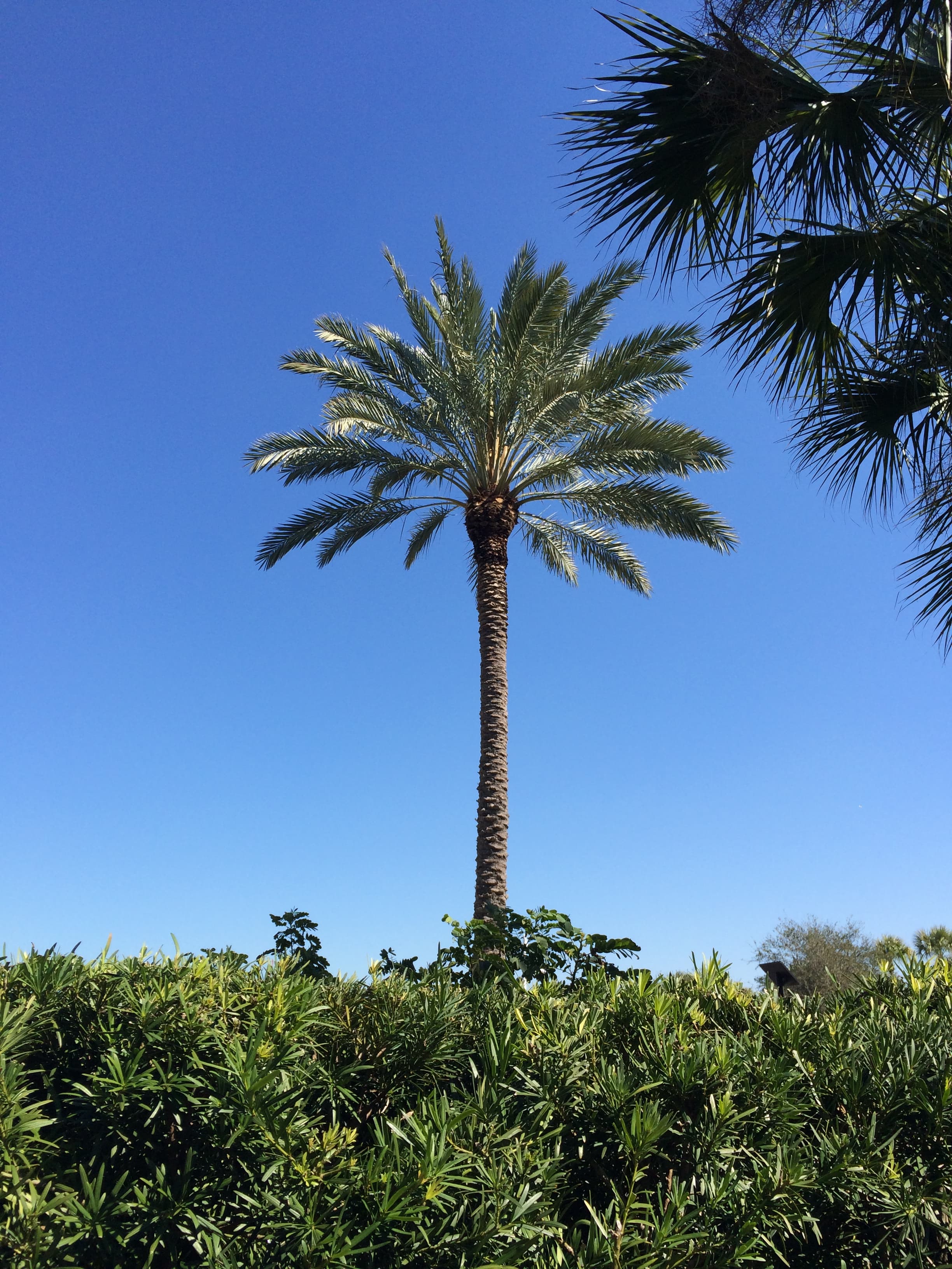 Travel photo 4