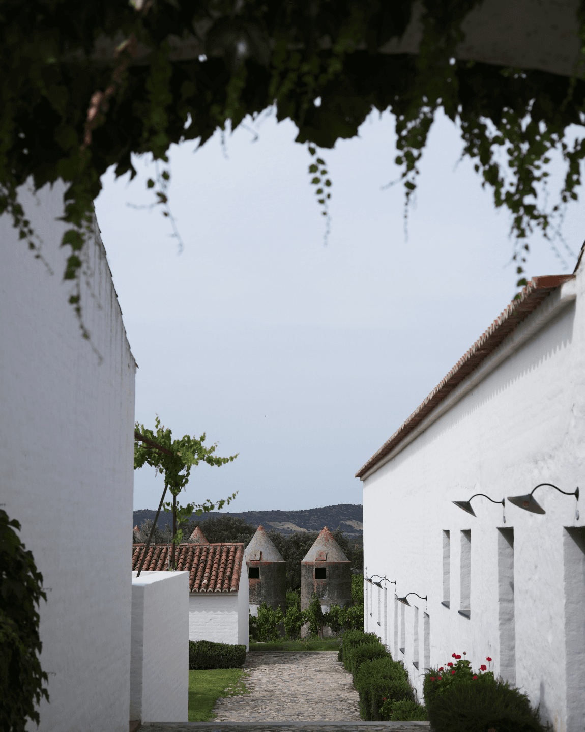 The Portugal Edit: Field Notes from 12 Days of Hotel Inspections and Experiences Worth Your Time curated by Daphne Lin