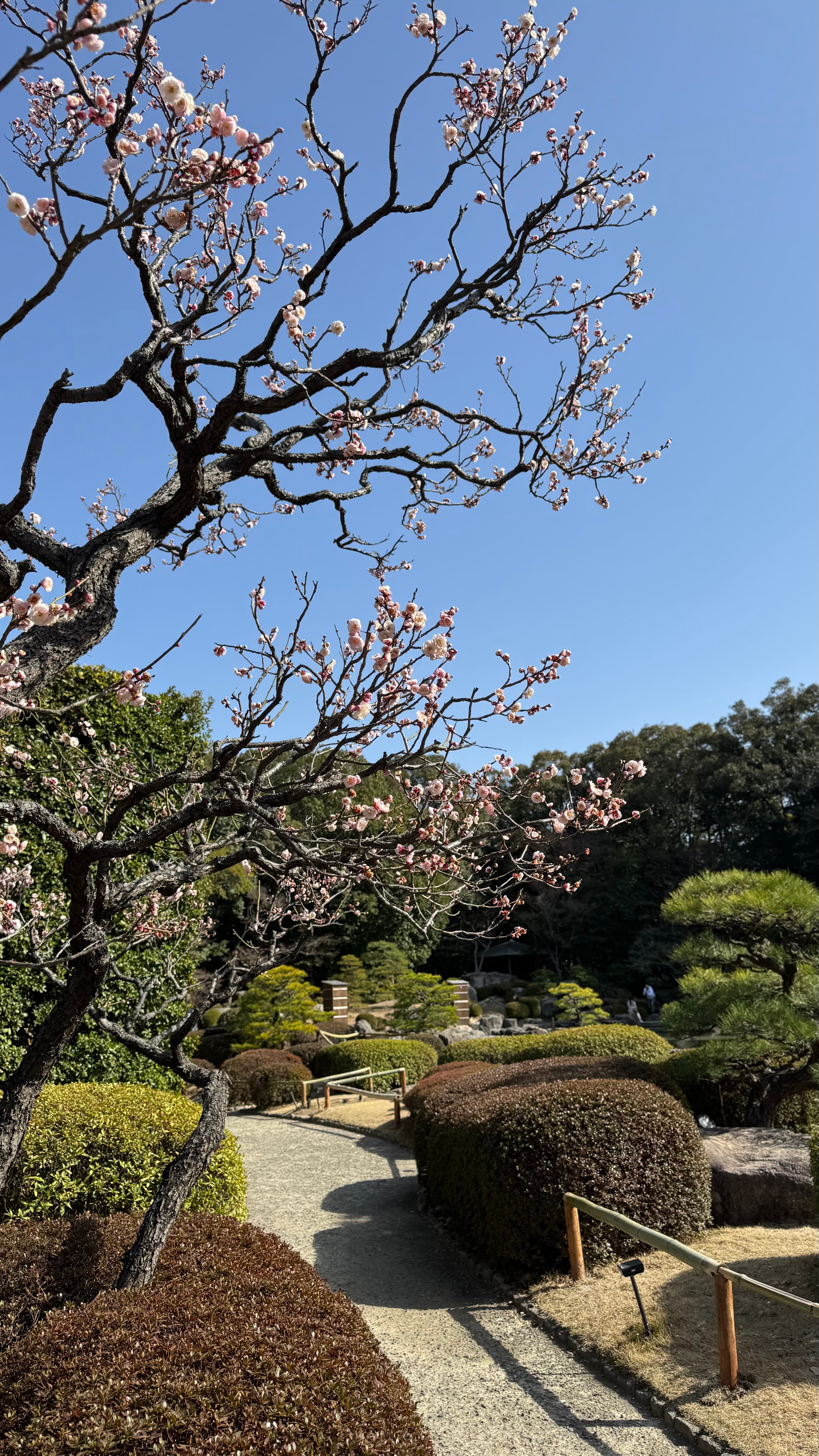 Travel photo 1