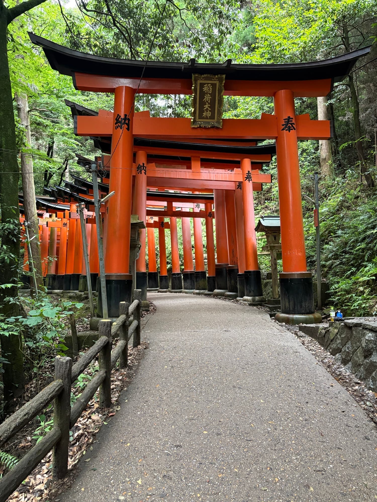 Luxury Japan Adventure: Tokyo, Kyoto, Kanazawa & Hakone curated by John Keller