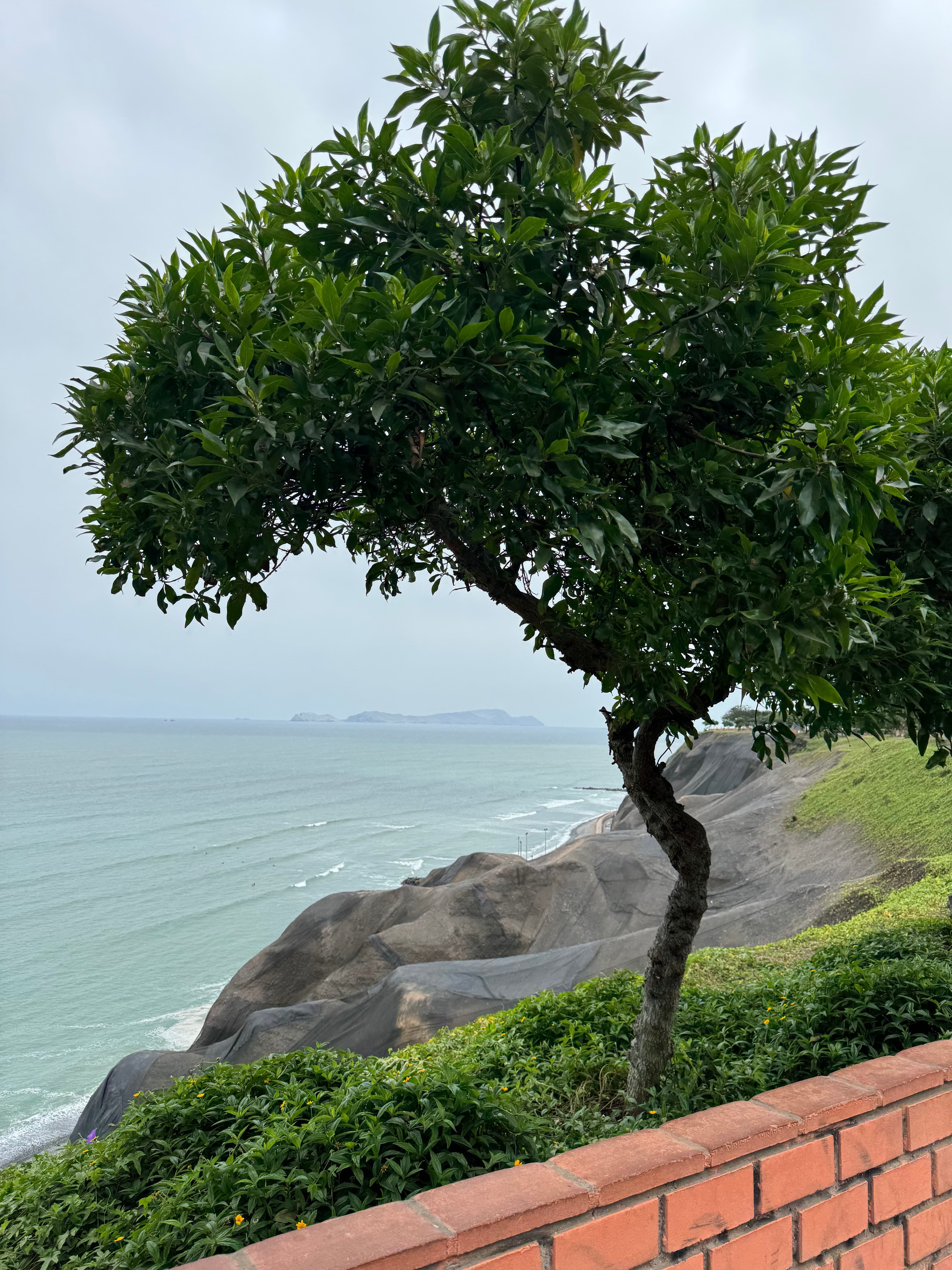 Why Lima Deserves More Than a Stopover curated by Michael Alpuin