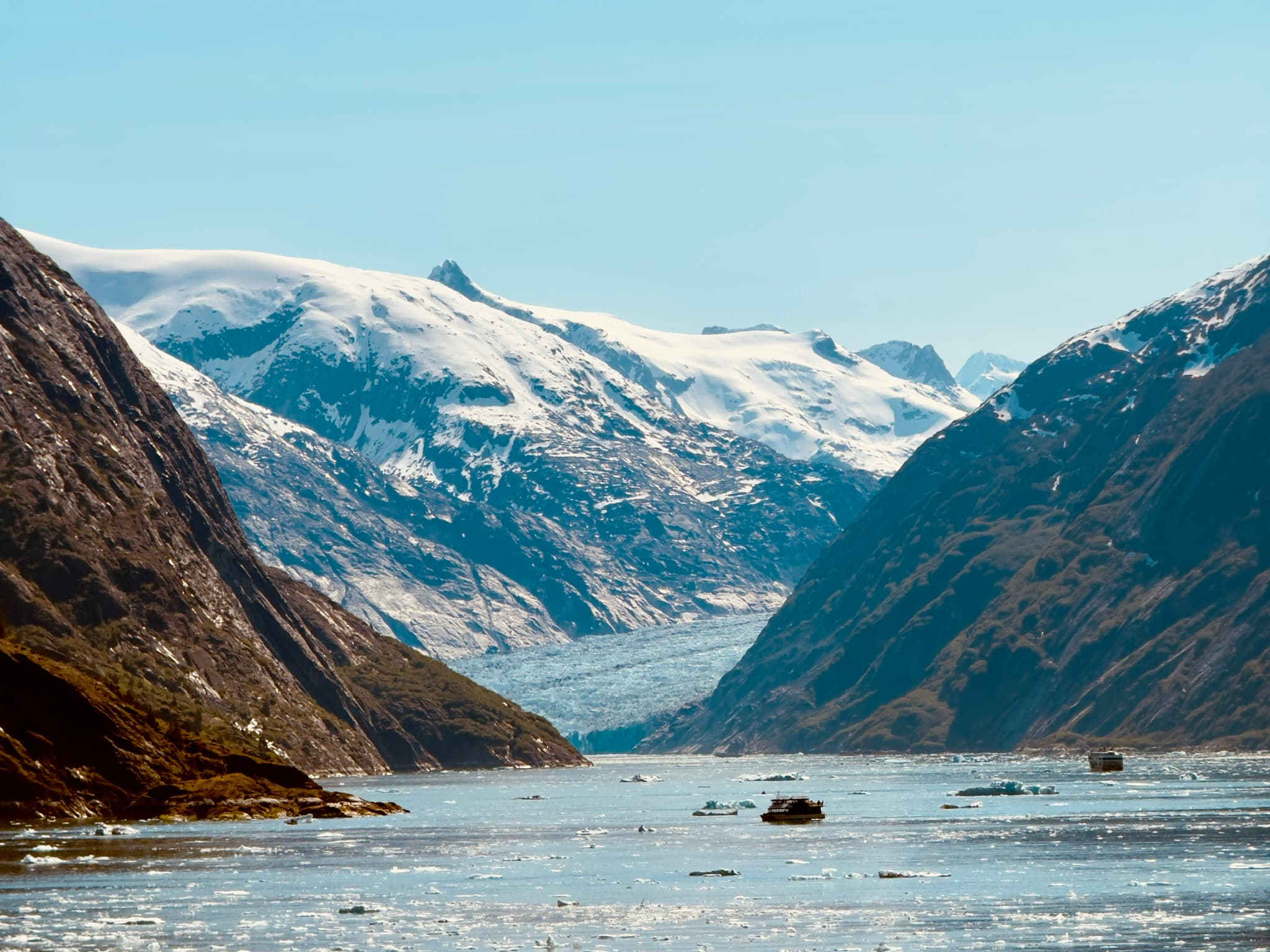 I Sailed Brilliant Lady's Inaugural Alaska Season—Here Is Everything You Need to Know curated by Bryant Blakeslee