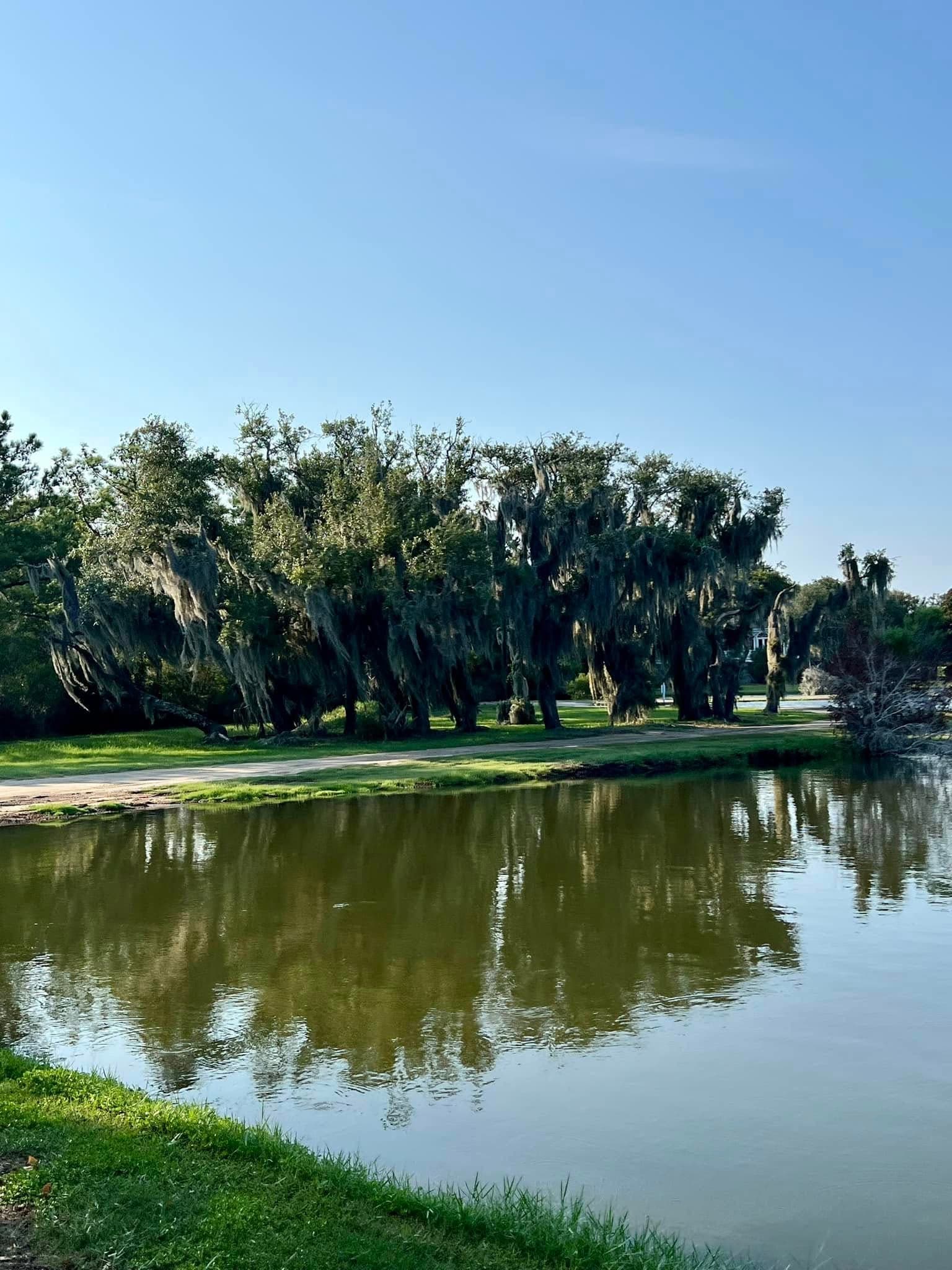 Where the Live Oaks Meet the Sea: Georgetown & Pawleys Island, South Carolina curated by Abbey Barefoot