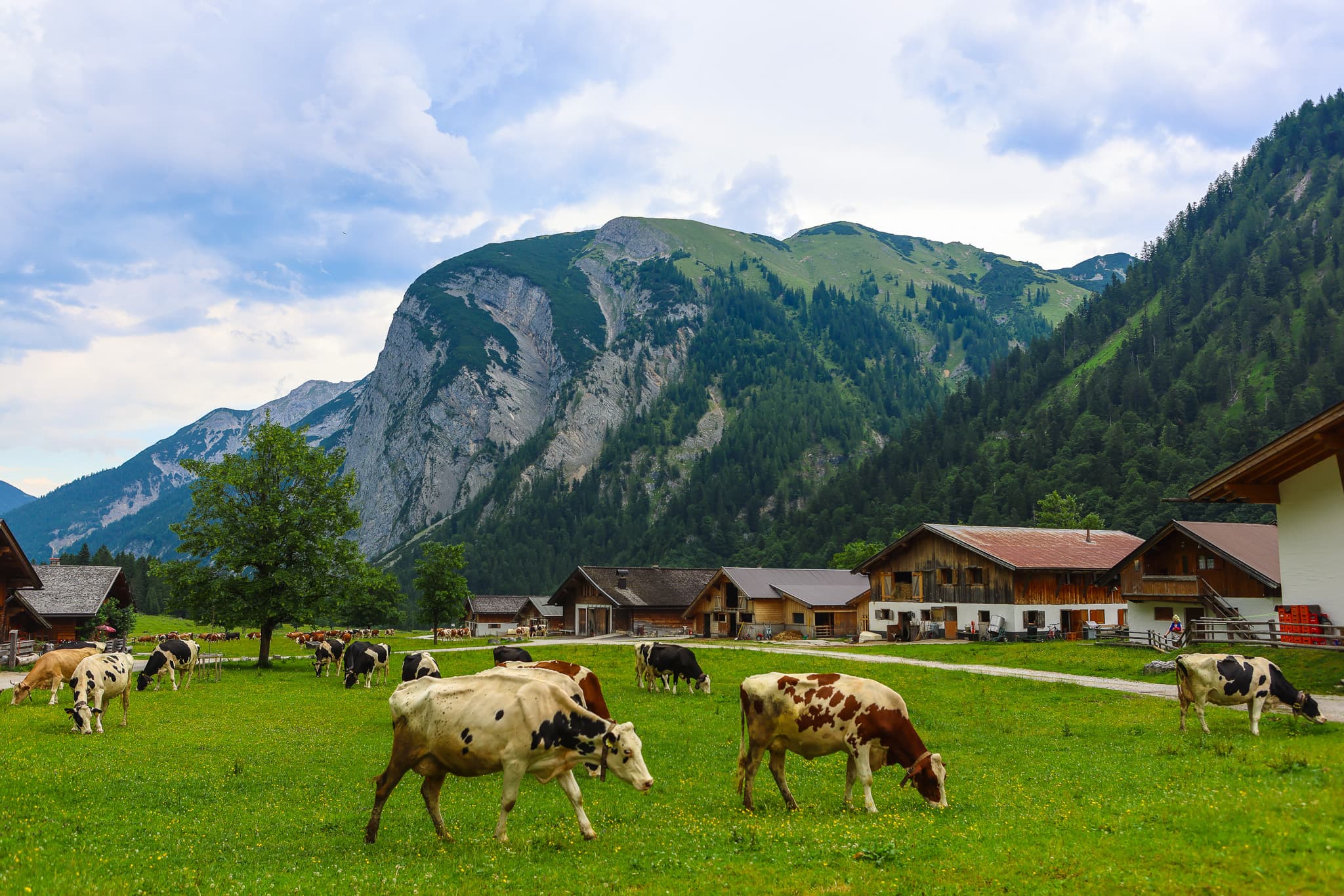 Travel photo 5