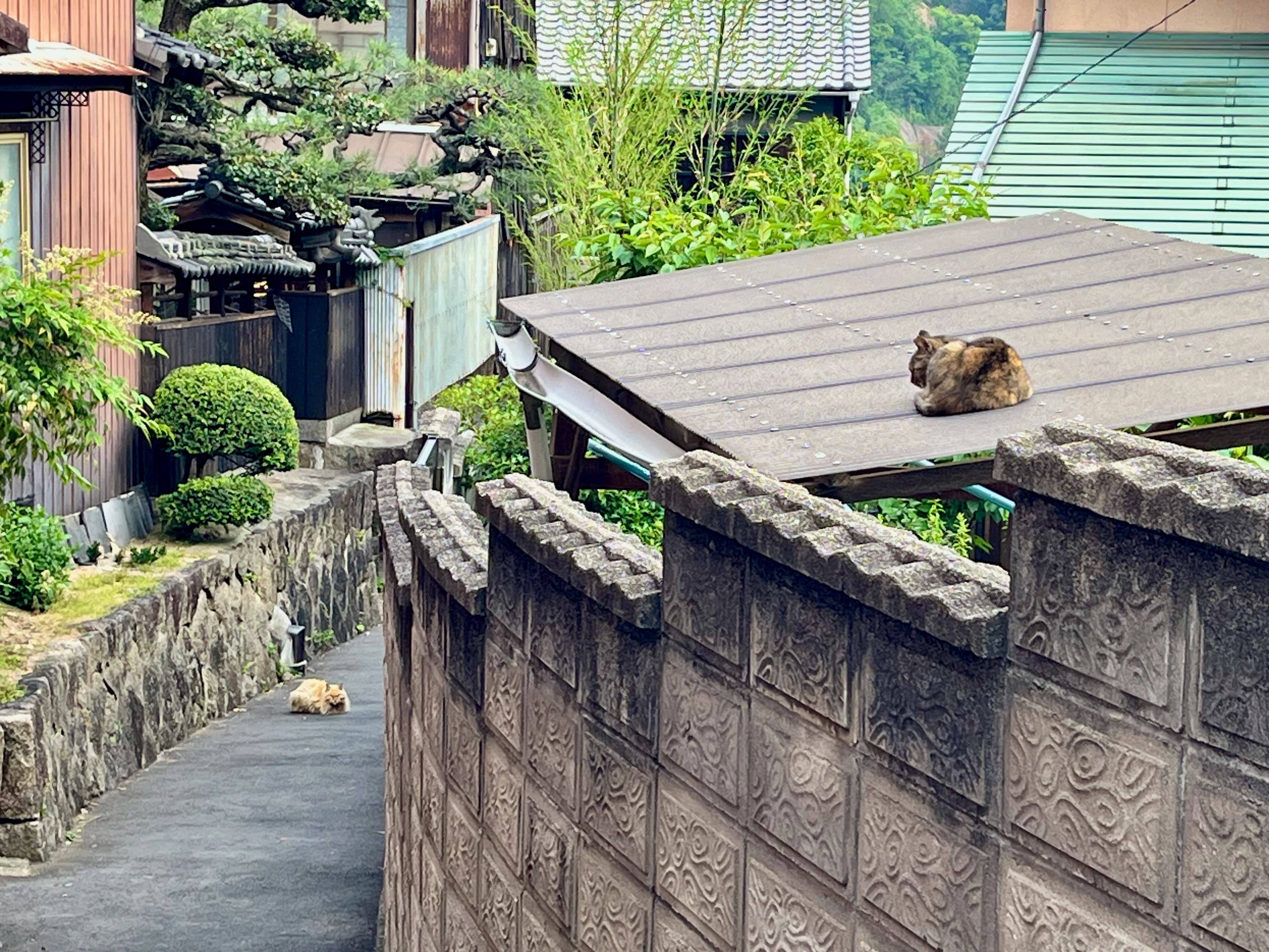 Travel photo 10