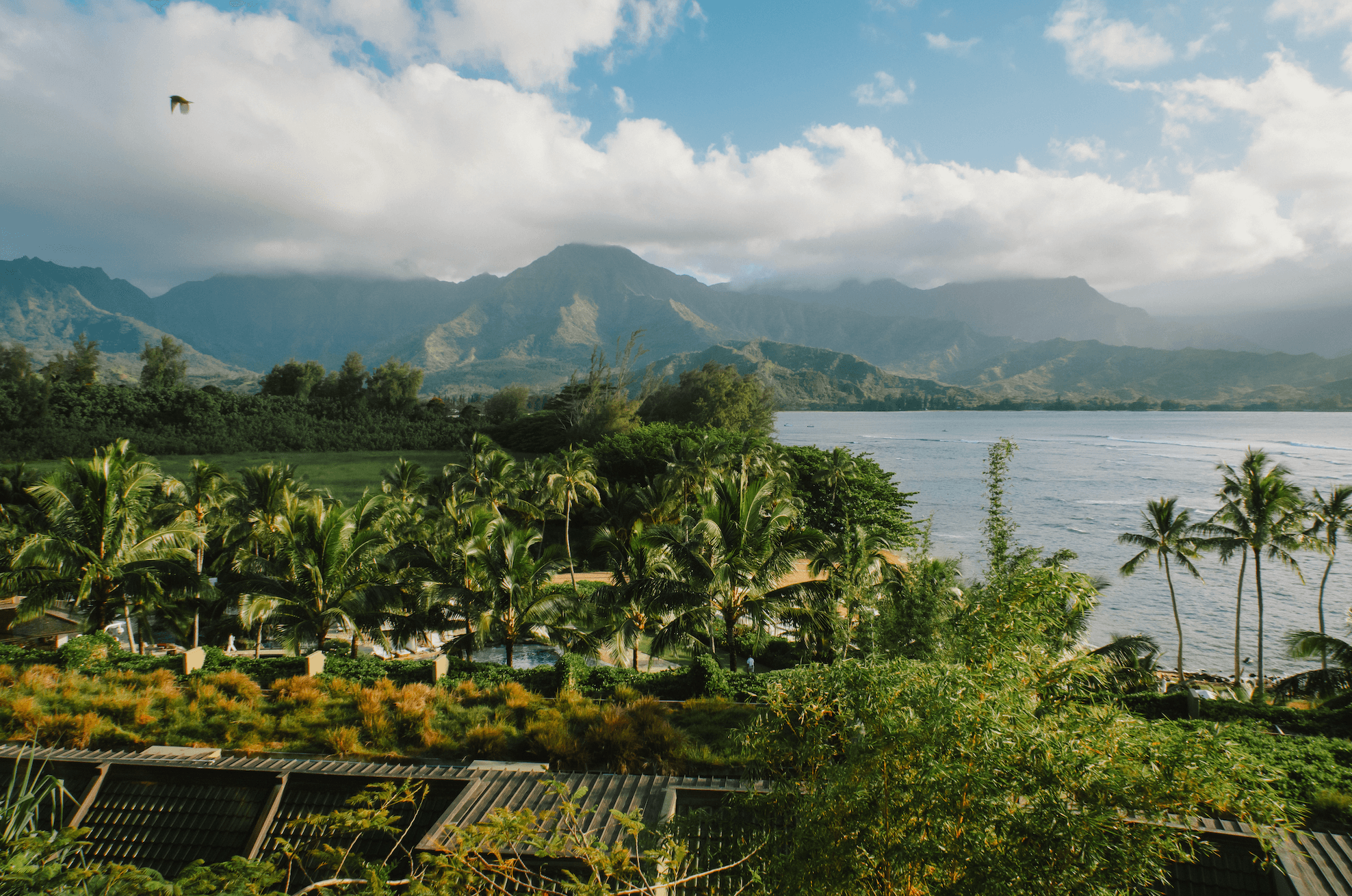 One Week In Kaua’i: The Ultimate Babymoon Destination curated by Merissa Bradford