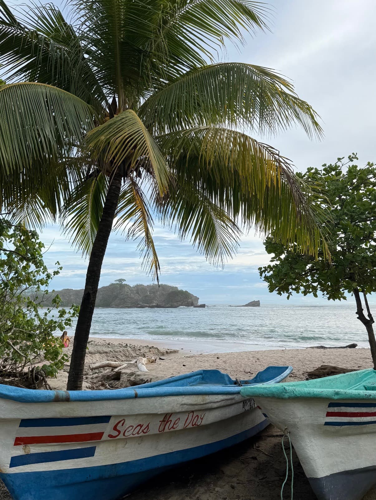 Blue Zone Adventures: A Guide to Nosara, Costa Rica curated by Elizabeth Gray