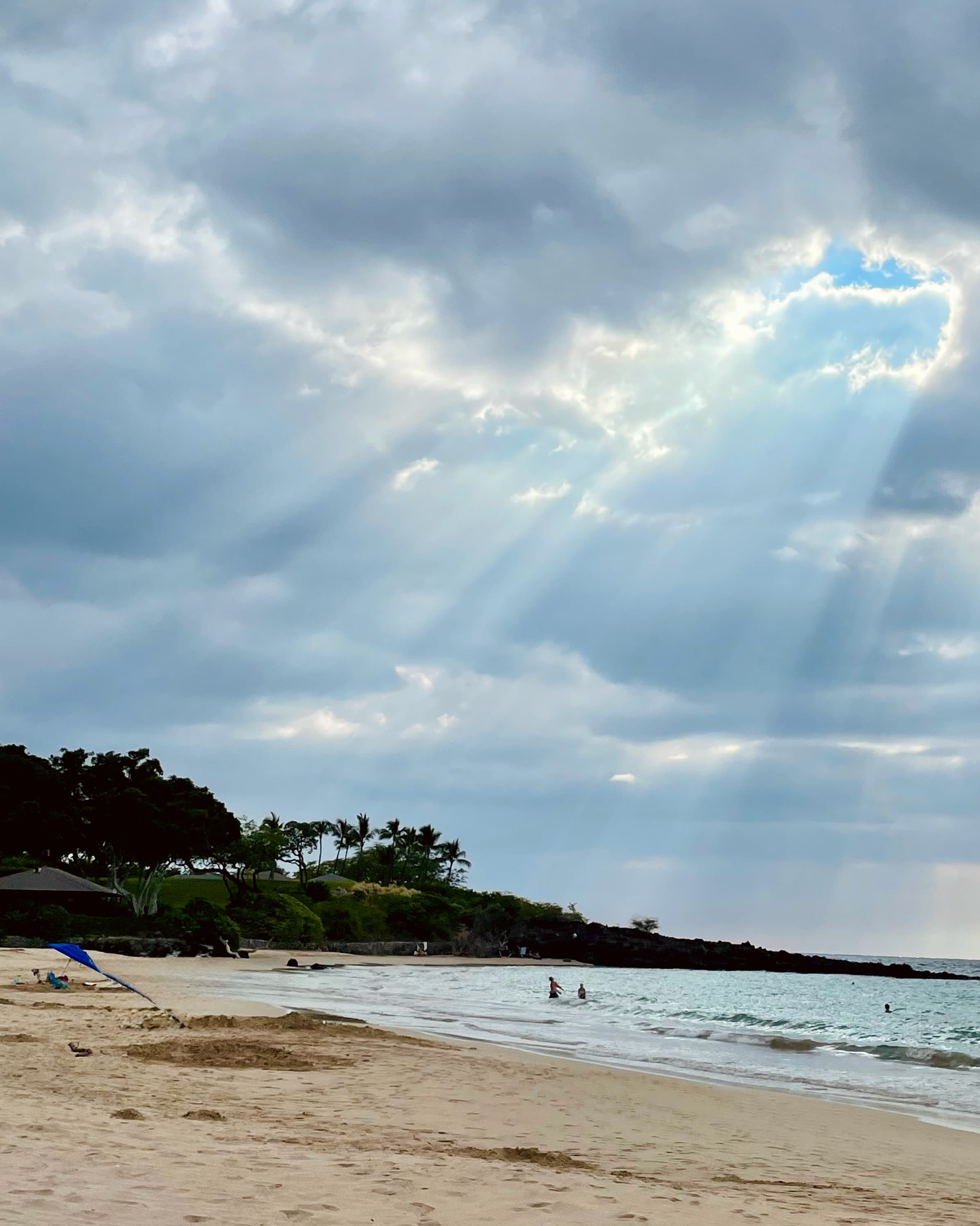 Finding the Big Island’s Rarest Luxury: A Long Resort Beach Walk on the Lava Rock Coast curated by Shelley Baldiga