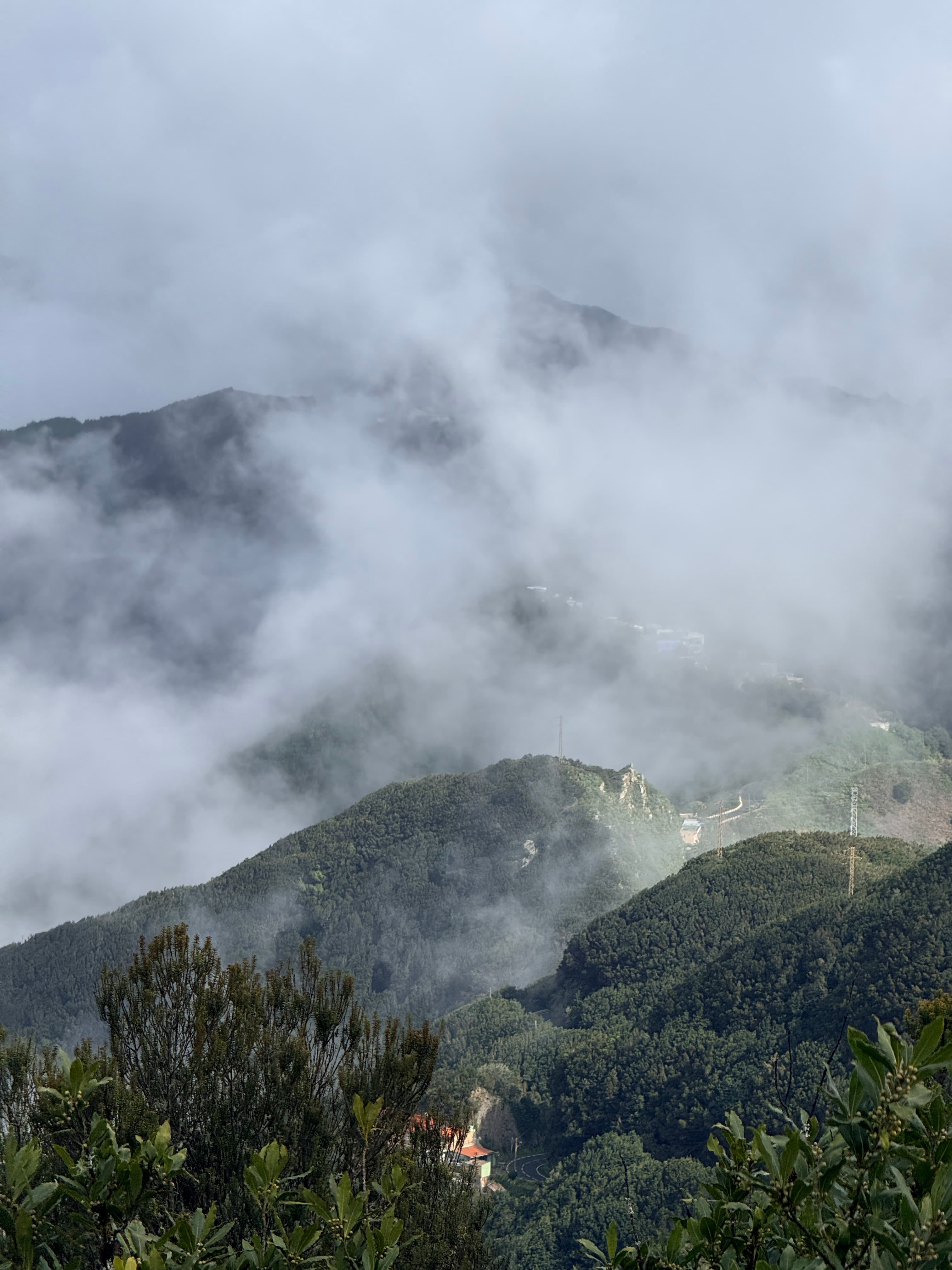 Sun, Culture & Adventure: A Guide to Tenerife, Spain curated by Amanda Denner