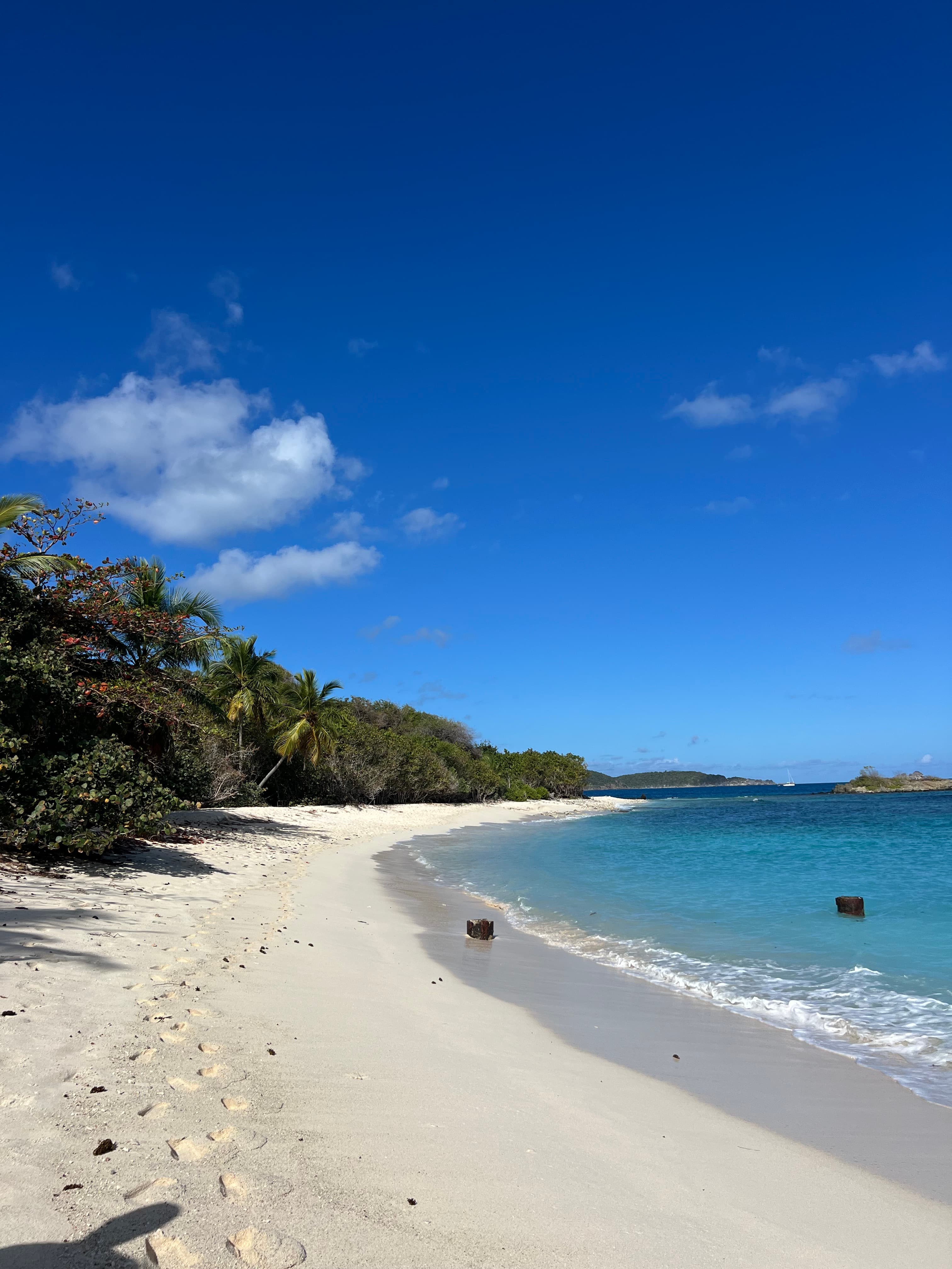 Discover St. John: Beaches, Trails & Island Magic curated by Kristi Smith