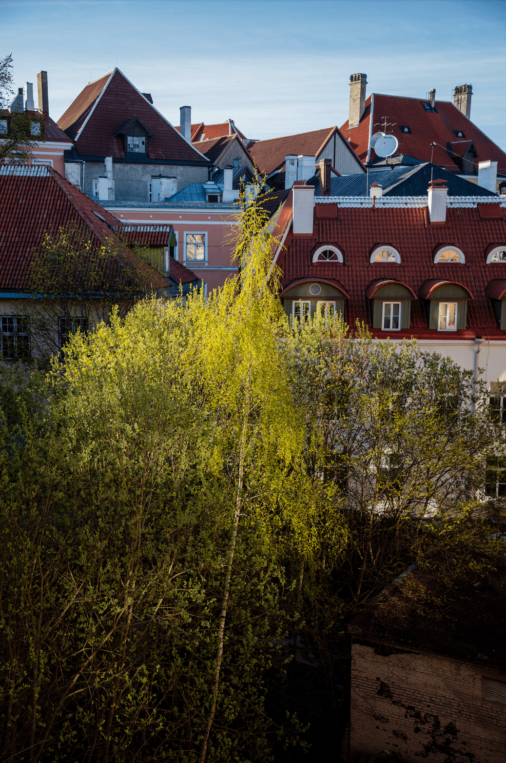 Your New Favorite Cities: A Guide to the Baltics curated by Alexandra Caritg