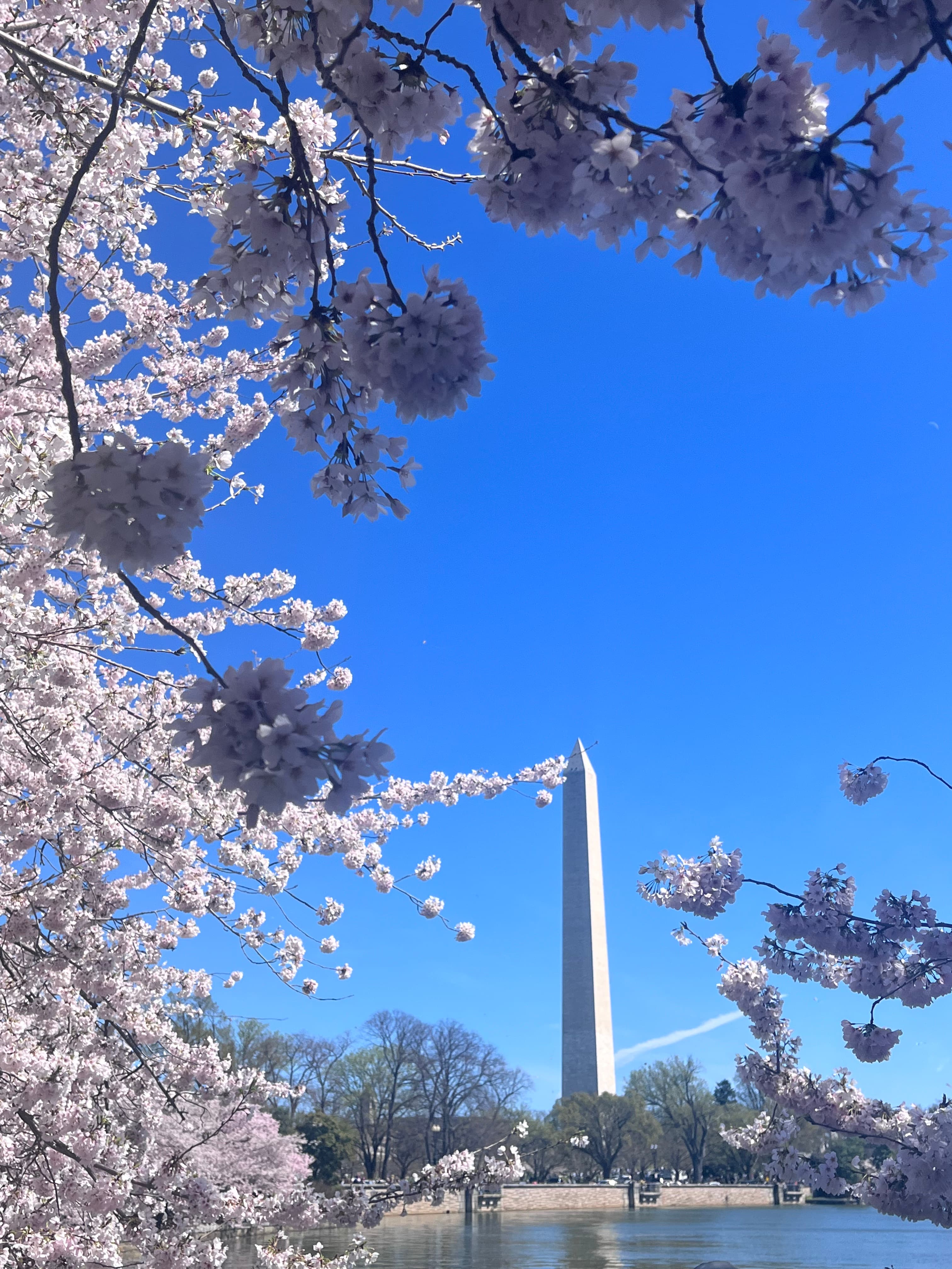 Travel photo 4