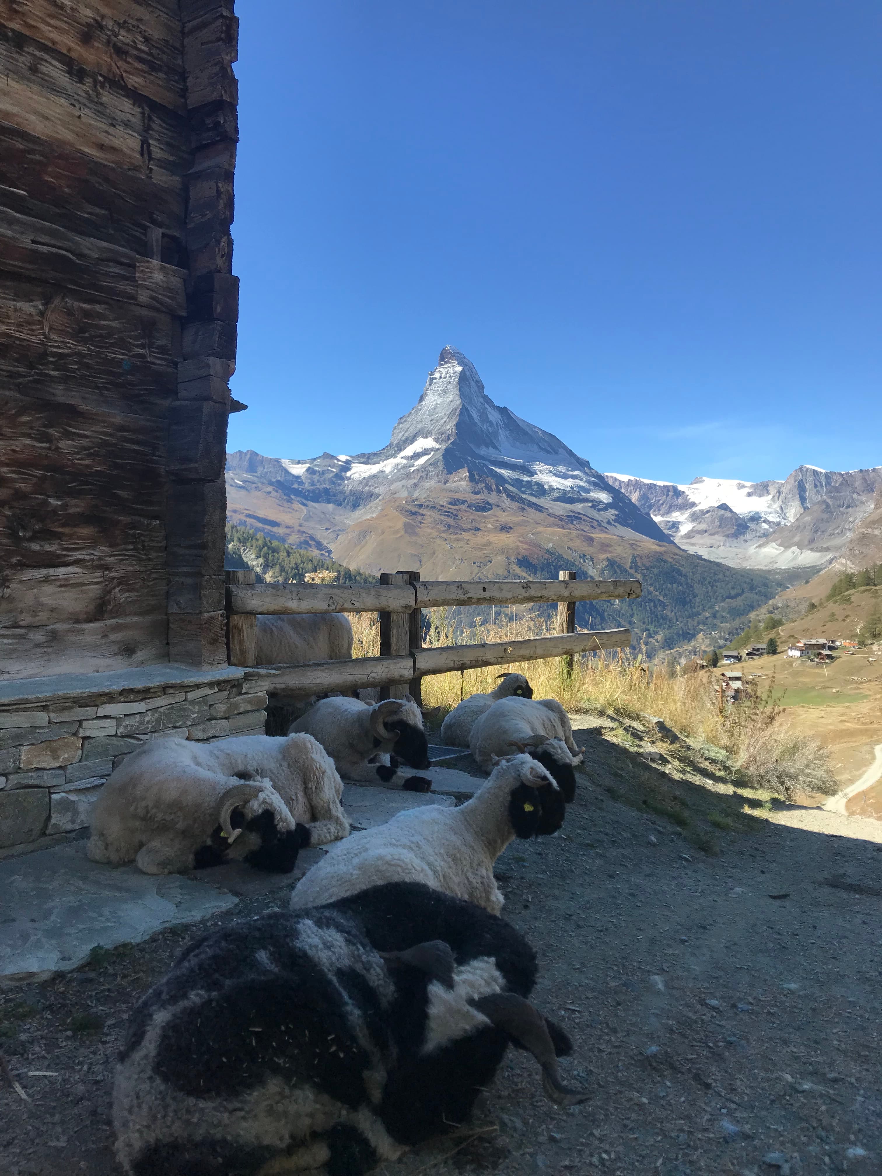 The Swiss Grand Tour: A Non-Cookie-Cutter Honeymoon to Bern, Mürren, Zermatt & Montreux curated by Jordyn Tilley