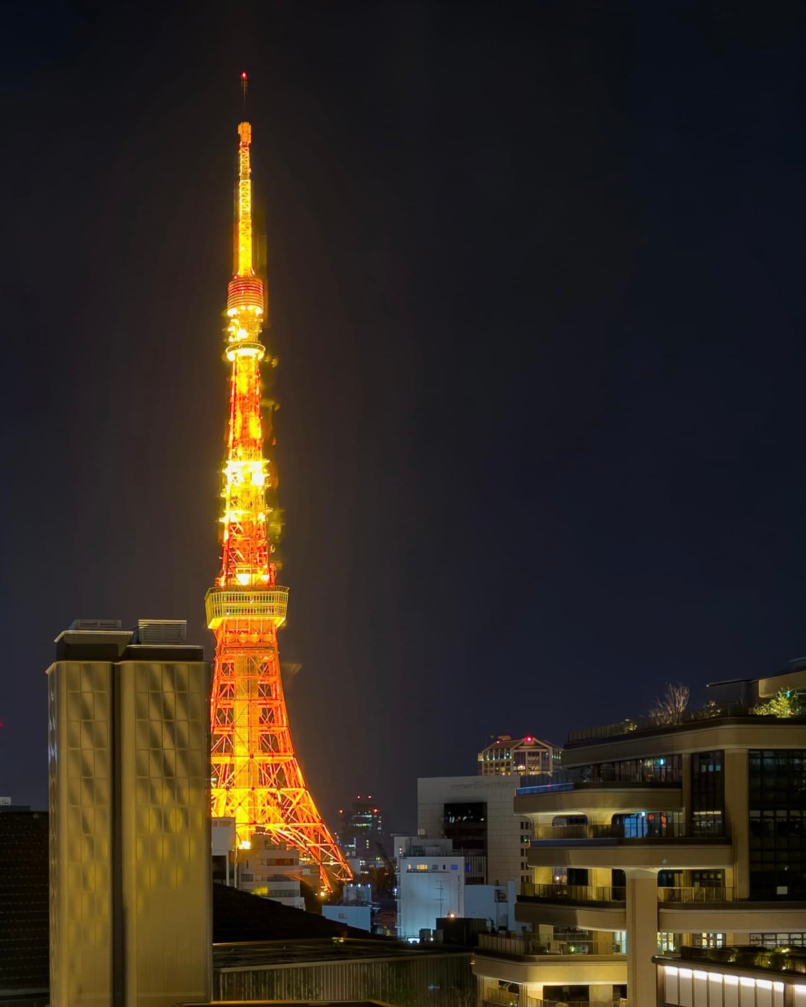 Four Months in Tokyo: Where to Eat, Stay & Go curated by Anthony Grushevsky