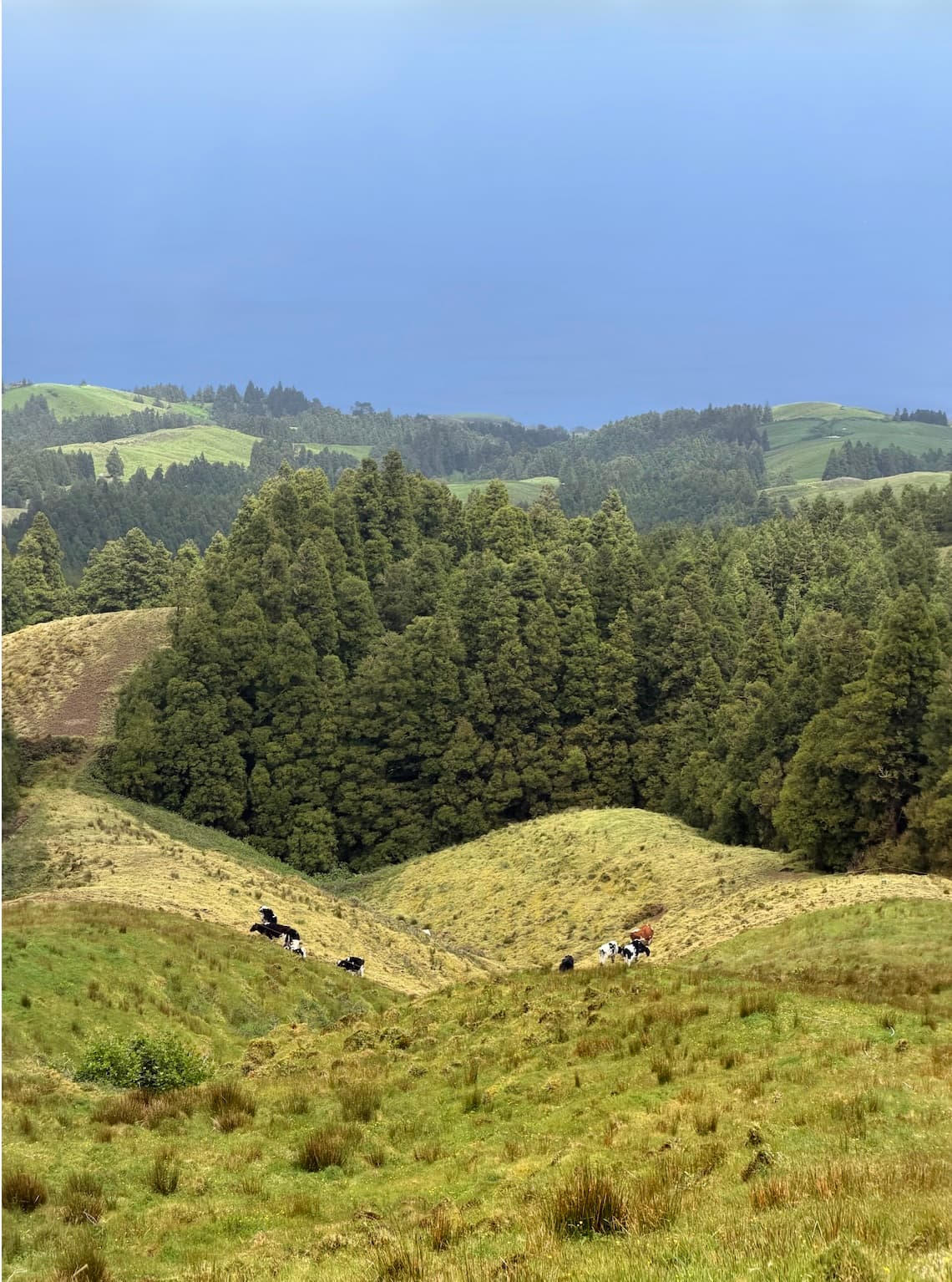 São Miguel, Azores: The Best-Kept Nature Escape at the Edge of Europe curated by Lauren Lockett