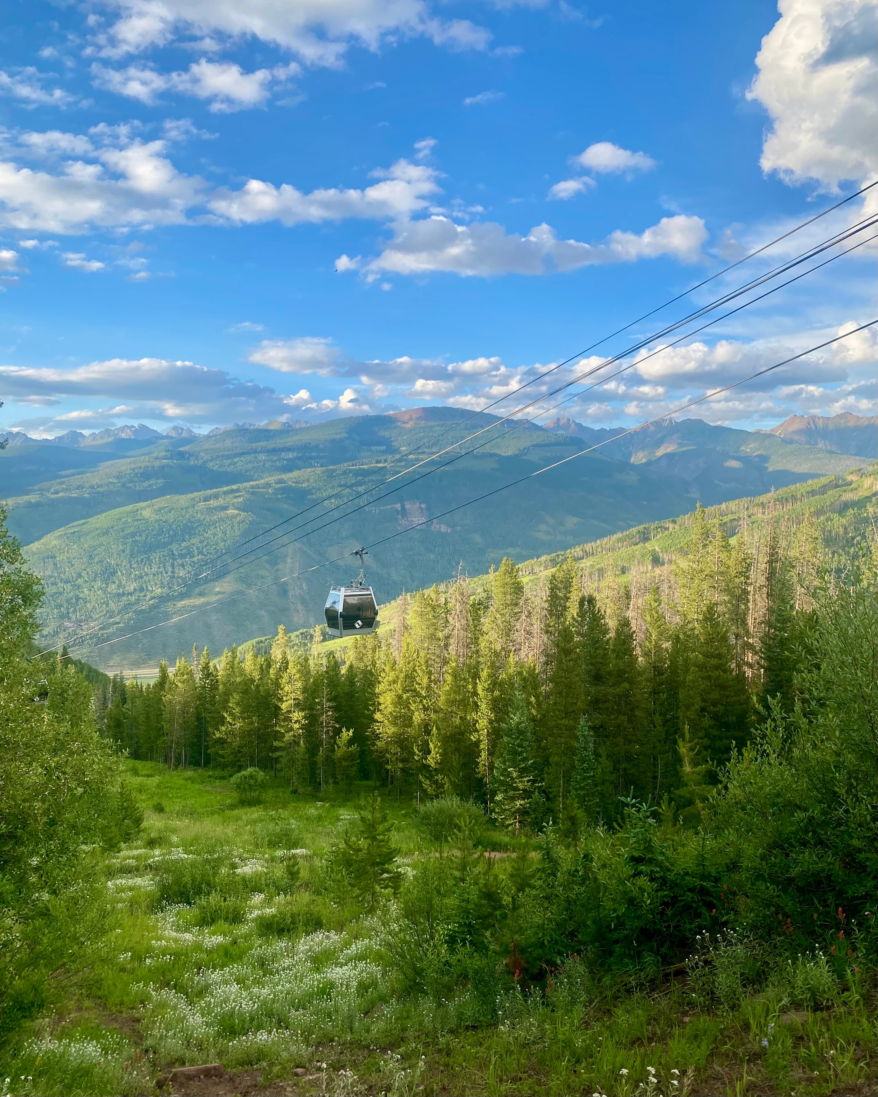 Summer in Vail, From a Local’s Perspective curated by Adrienne Graybill