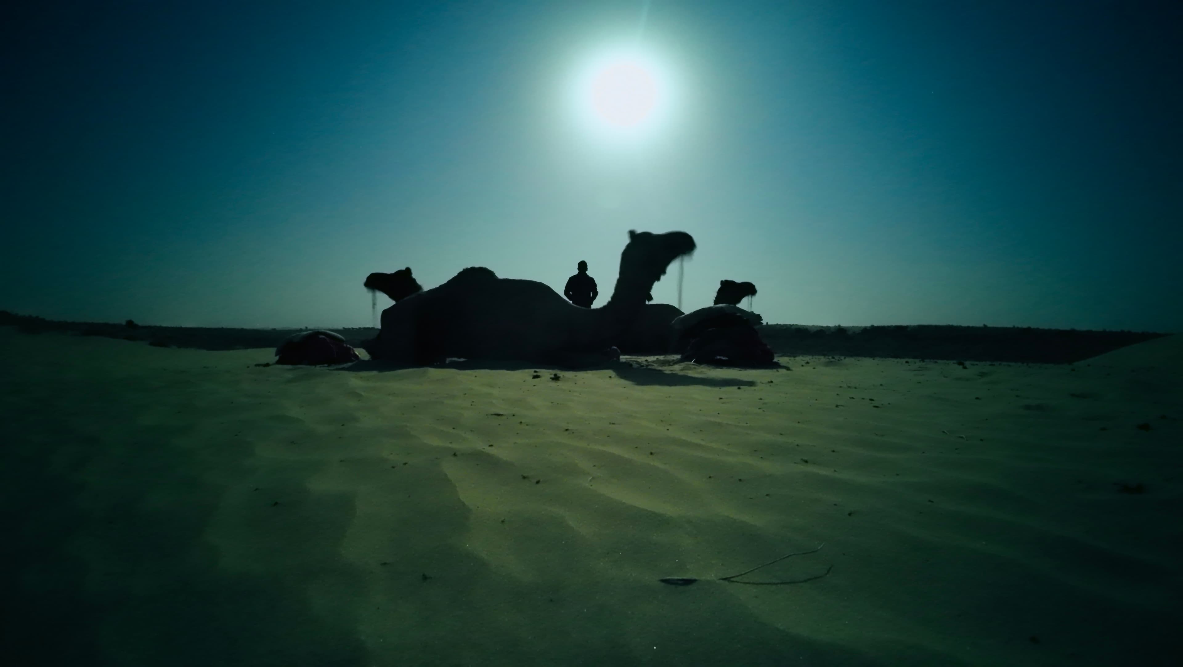 Moonlight, Sand & Silence: A Solo Traveler’s Night in Jaisalmer curated by Gautam Agarwal