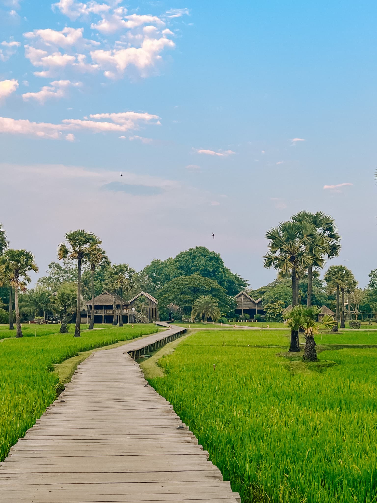 A Green Village in the Rice Paddies: Zannier Phum Baitang, Siem Reap curated by Valeria Sandoval