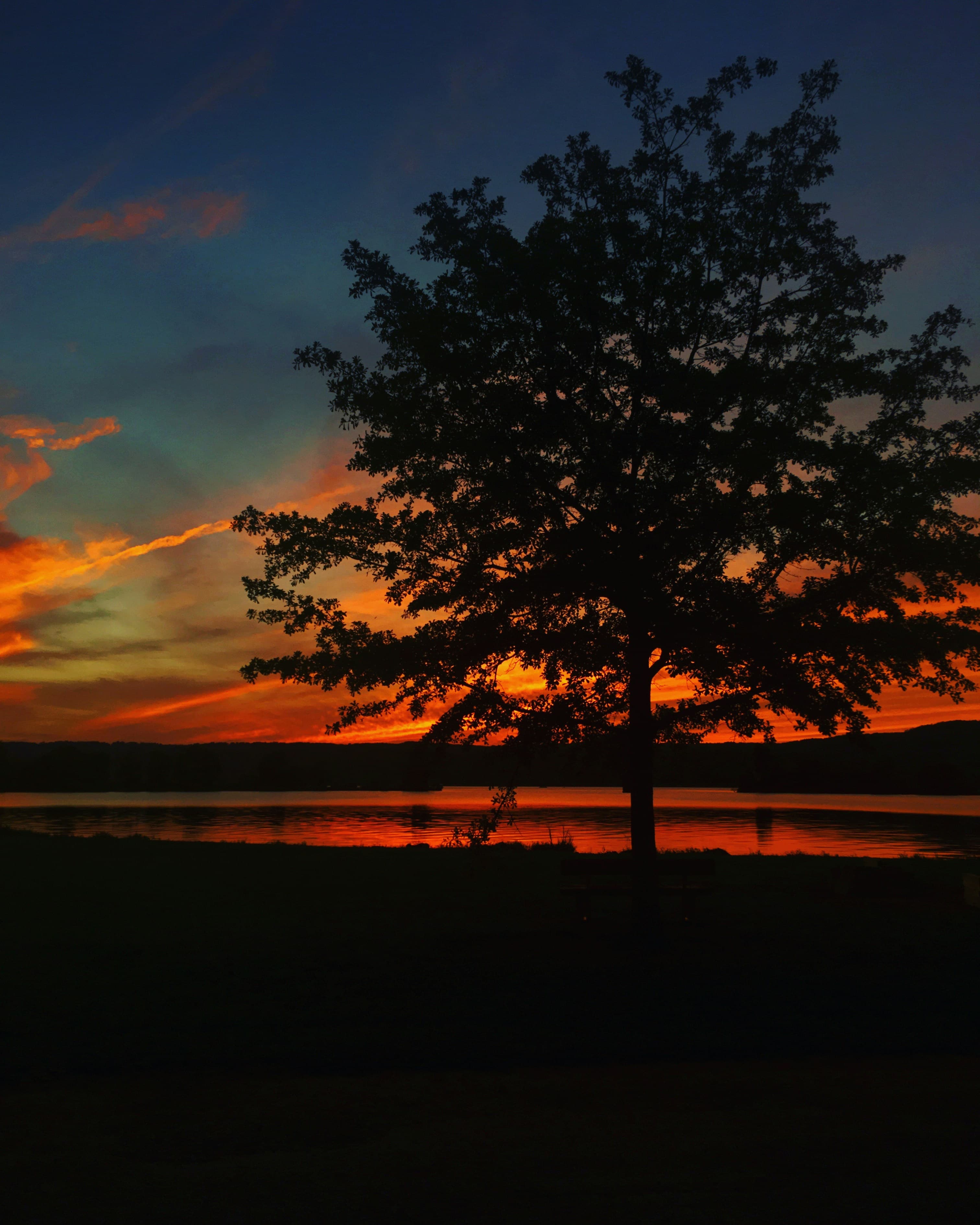 Grown Up Here, Still Can’t Stay Away: A Local’s Guide to Lake Guntersville curated by Robert Kenmore